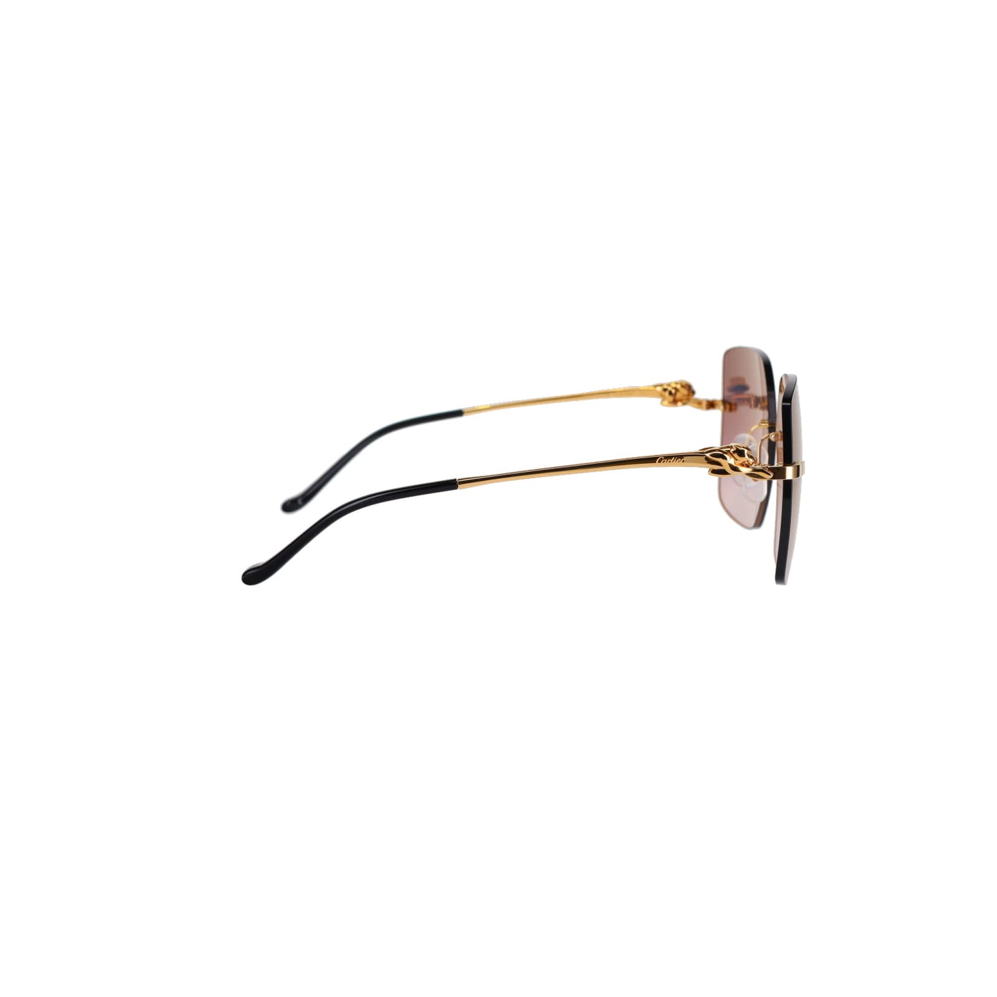 CT0359S Panthère Sunglasses