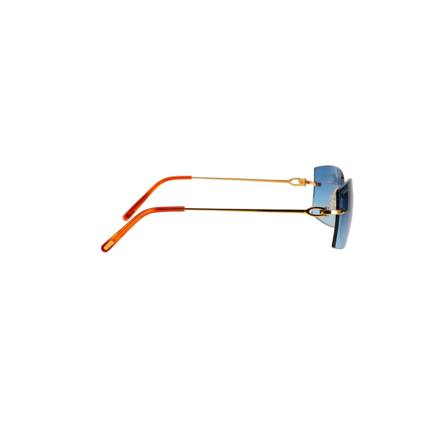 CT0005RS C Décor Sunglasses