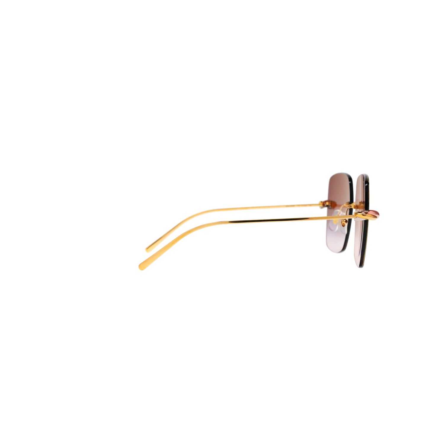 CT0508S Trinity Square Sunglasses