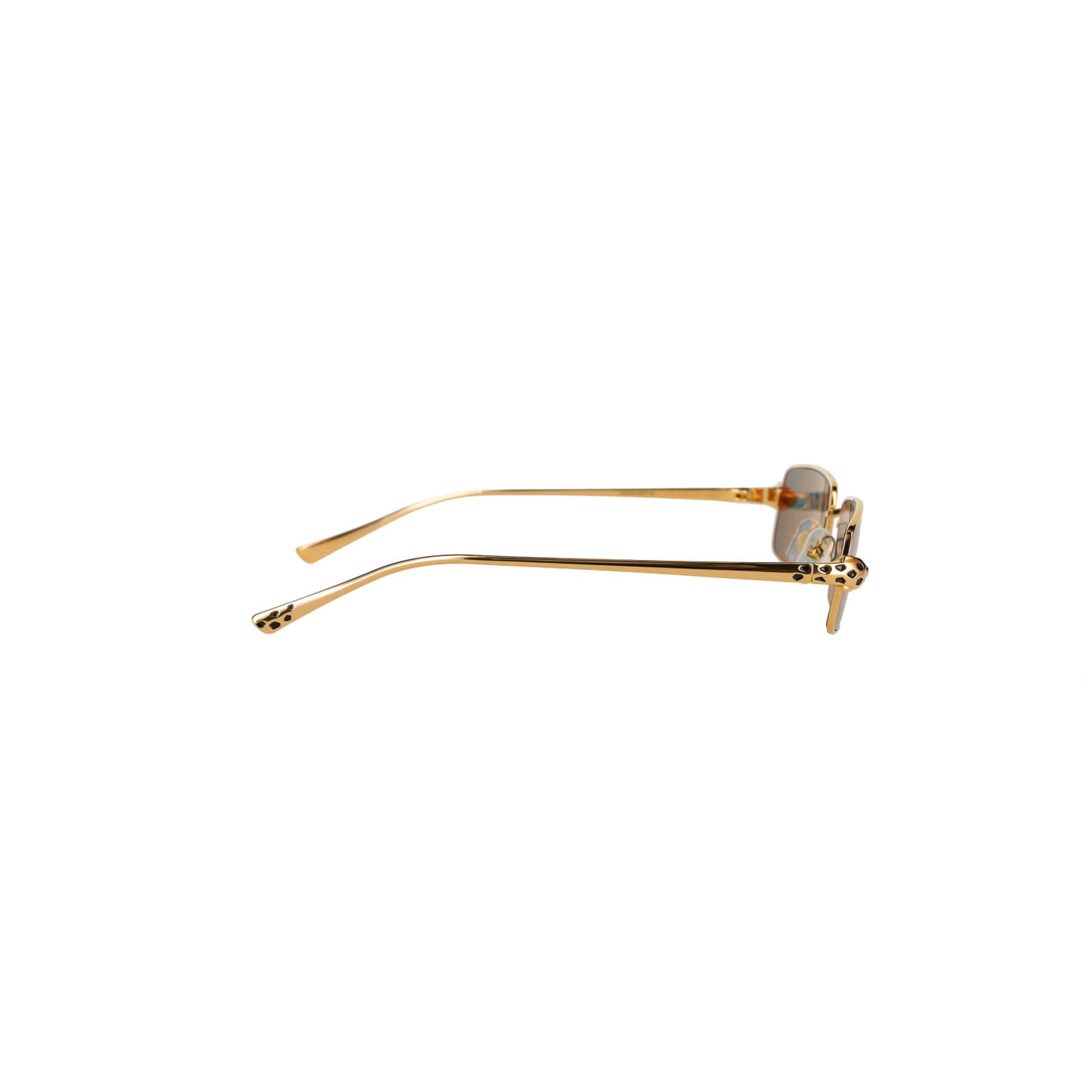 CT0473S Panthère Sunglasses