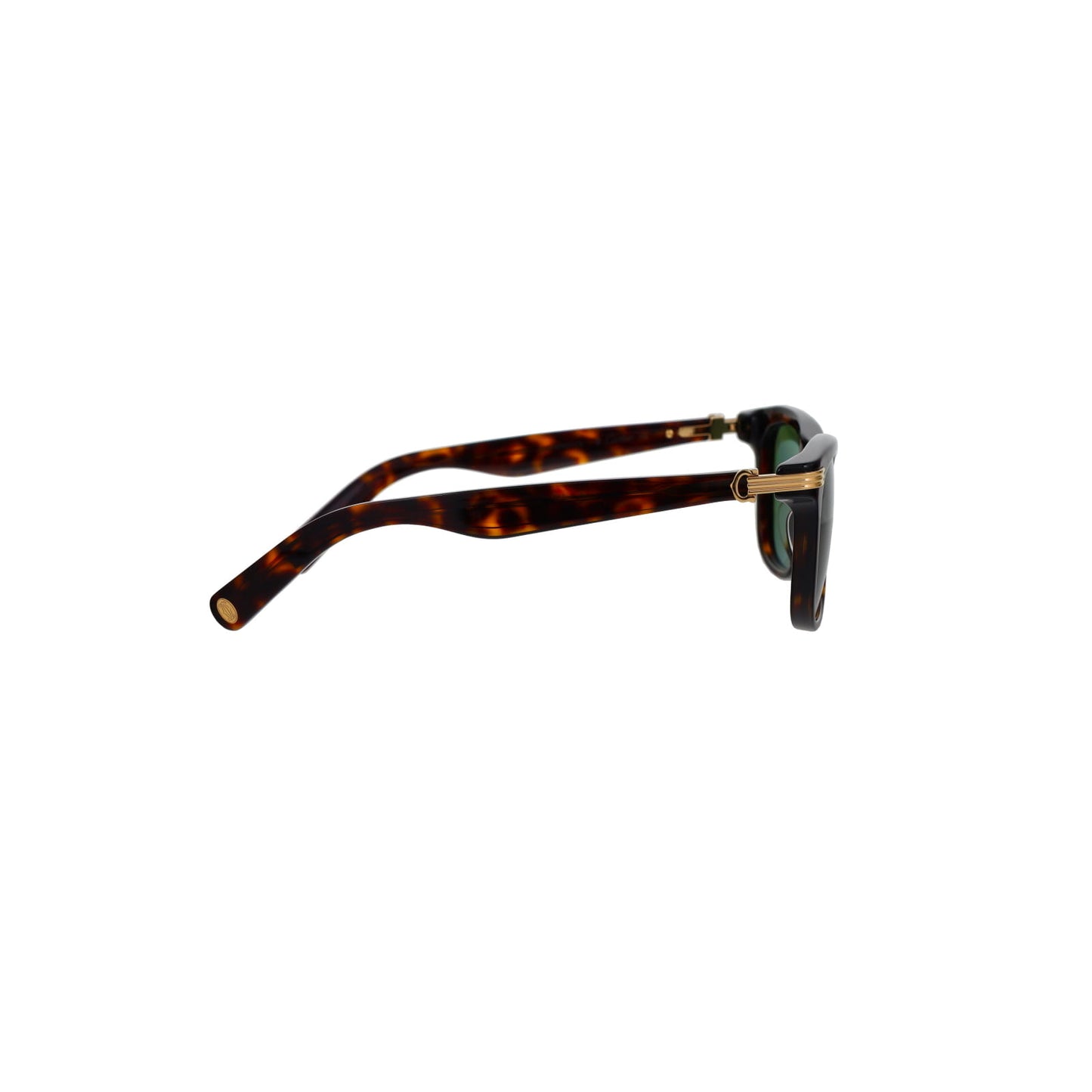 CT0396S Contemporary Acetate Sunglasses