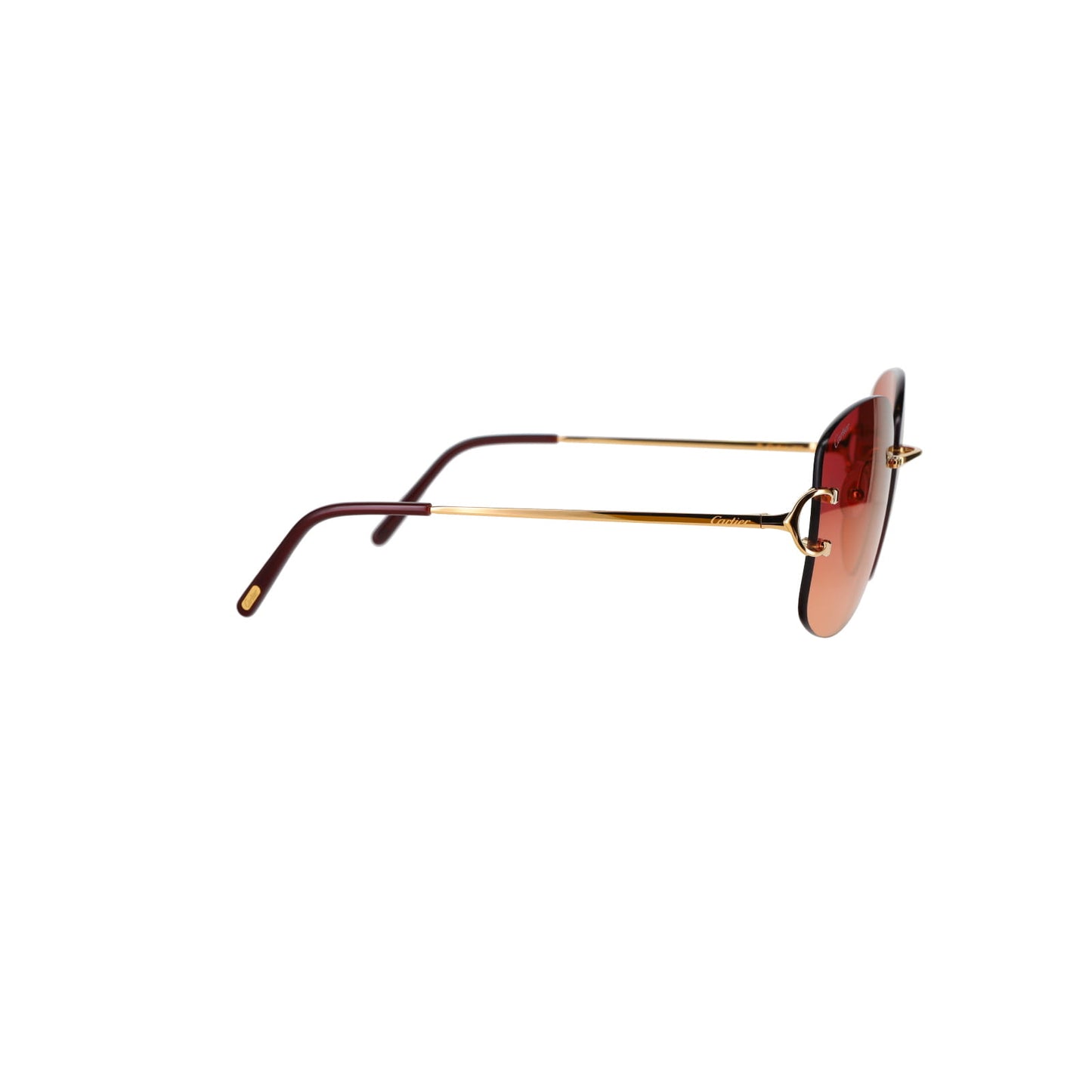 CT0037RS Signature C Sunglasses