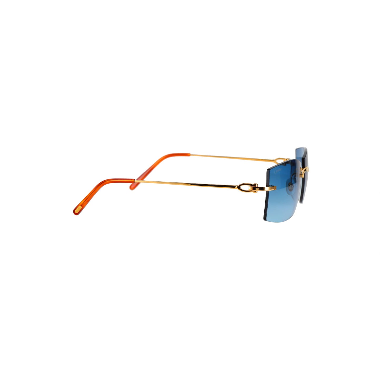 CT0005RS C Décor Sunglasses