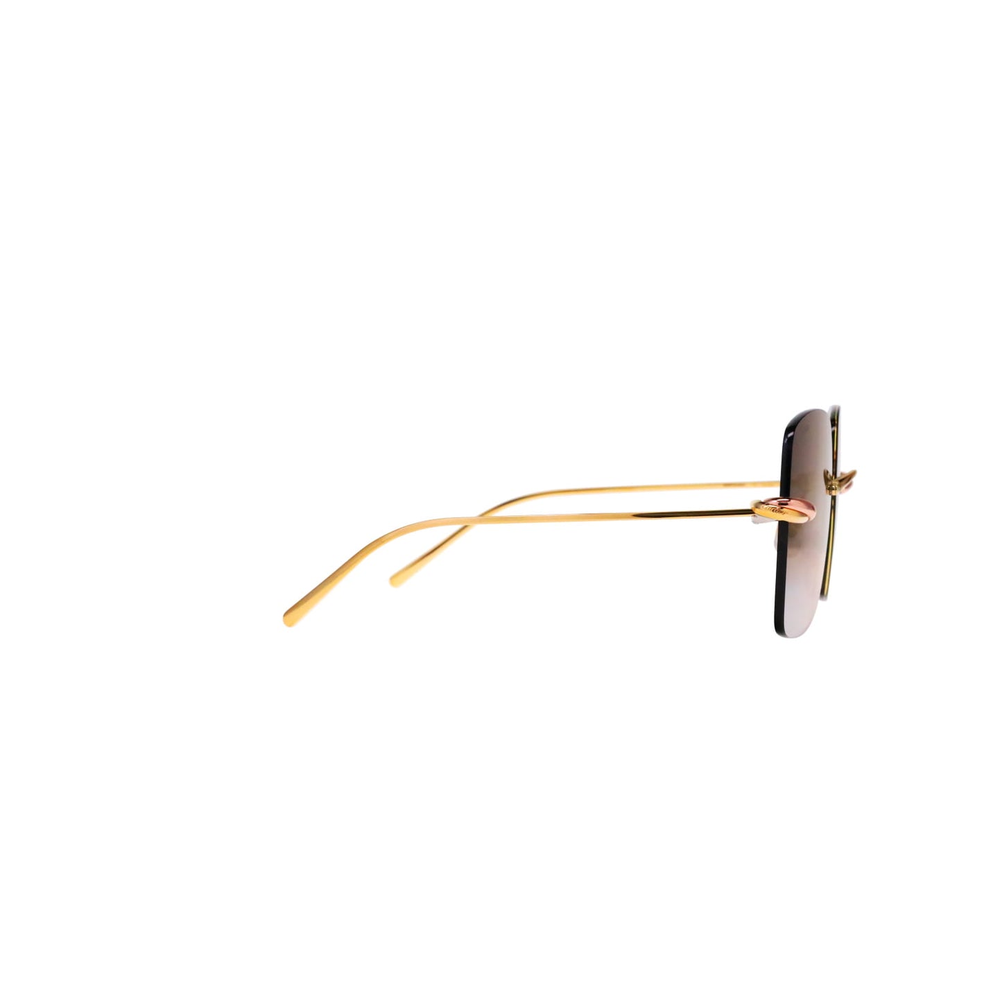 CT0508S Trinity Square Sunglasses