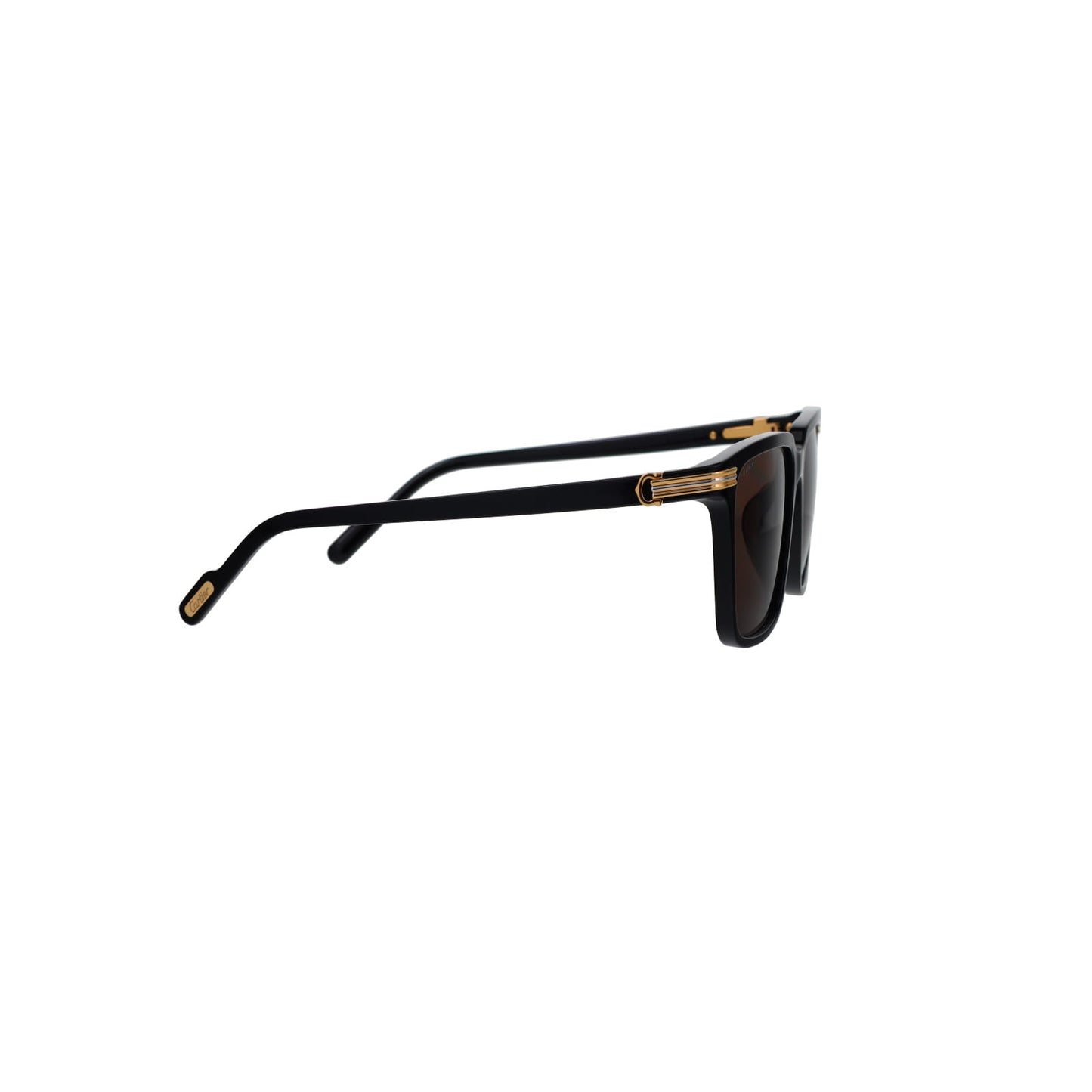 CT0220SA Contemporary Acetate Sunglasses