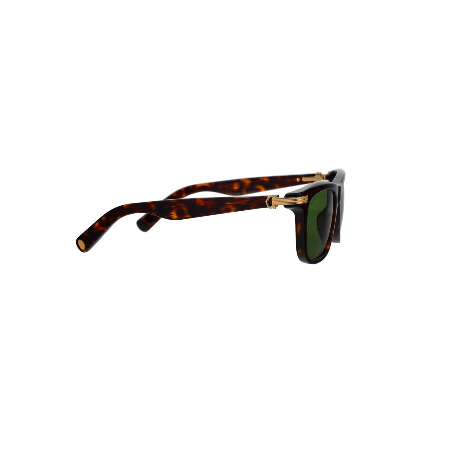 CT0396S Contemporary Acetate Sunglasses