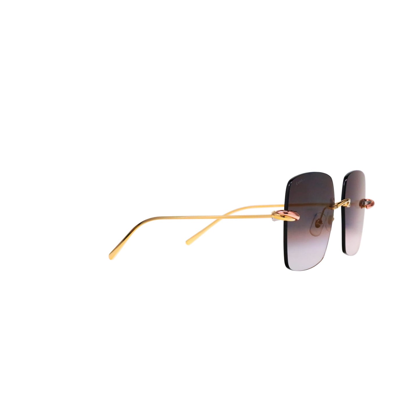 CT0508S Trinity Square Sunglasses
