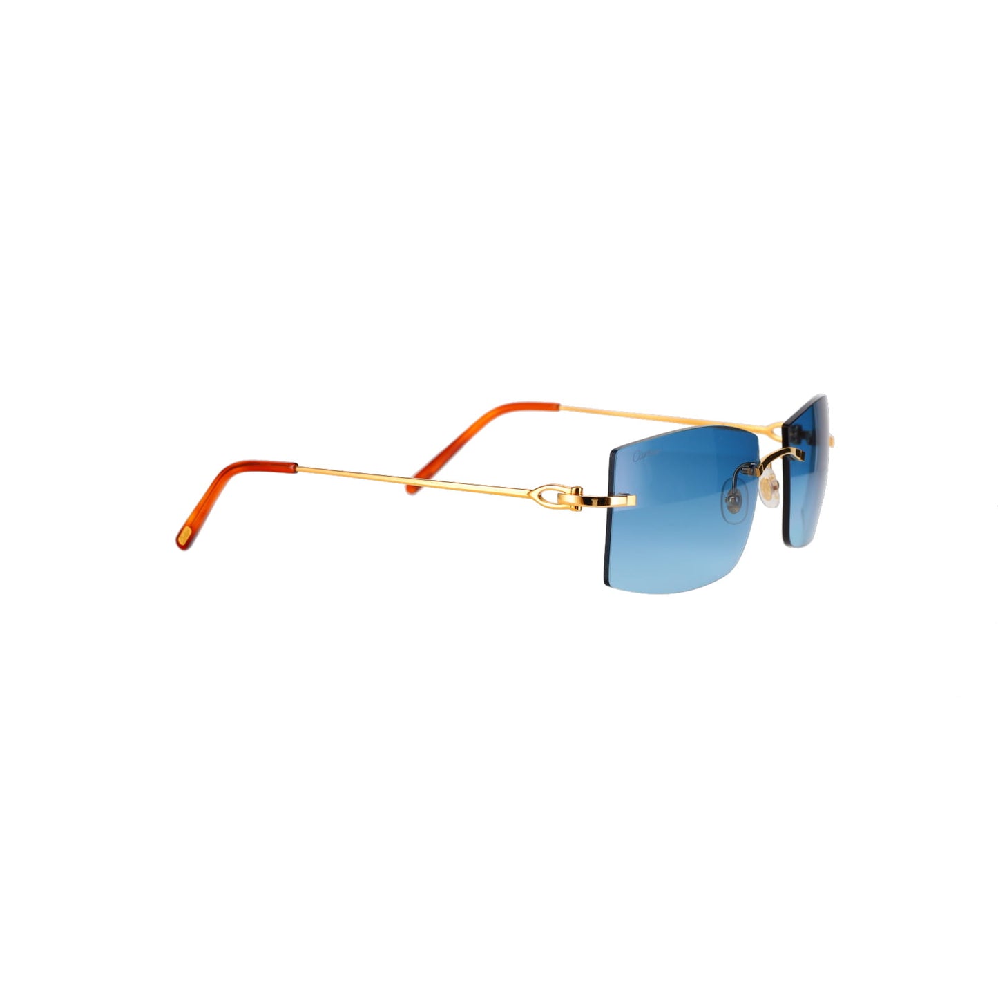 CT0005RS C Décor Sunglasses