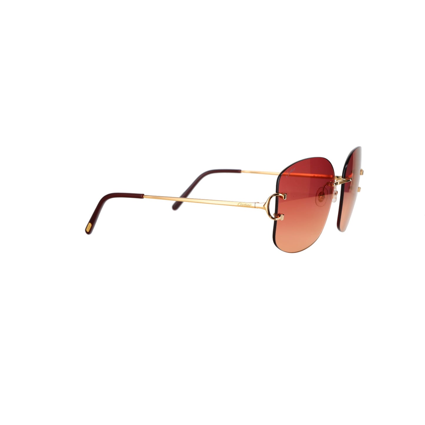 CT0037RS Signature C Sunglasses
