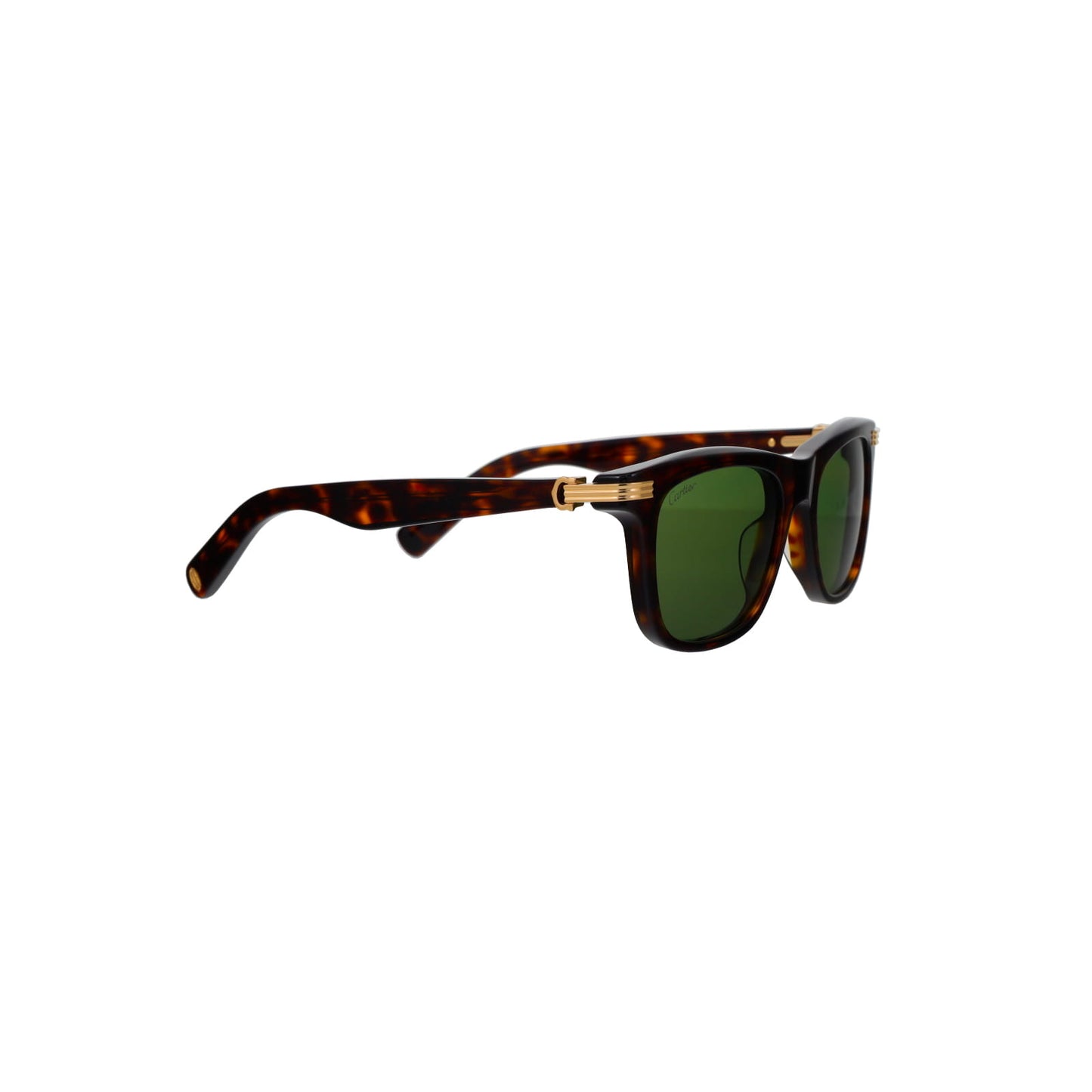 CT0396S Contemporary Acetate Sunglasses