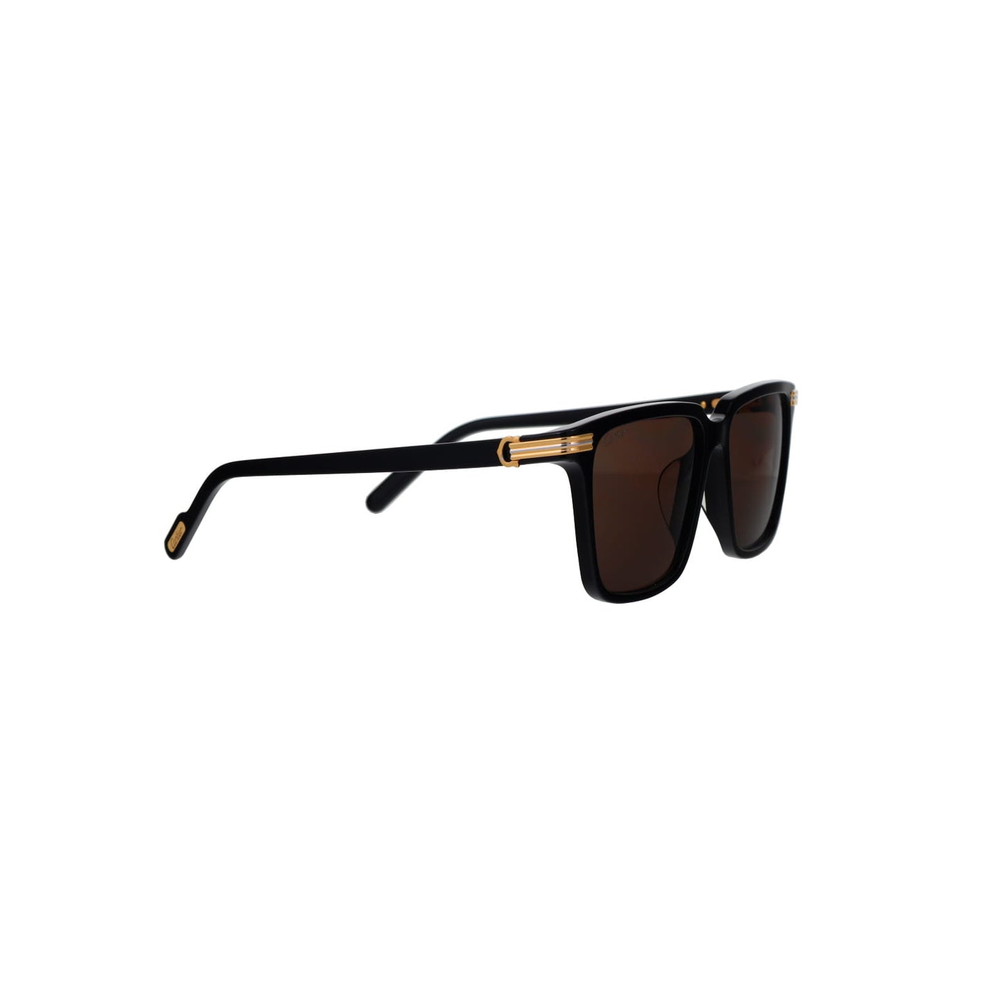 CT0220SA Contemporary Acetate Sunglasses