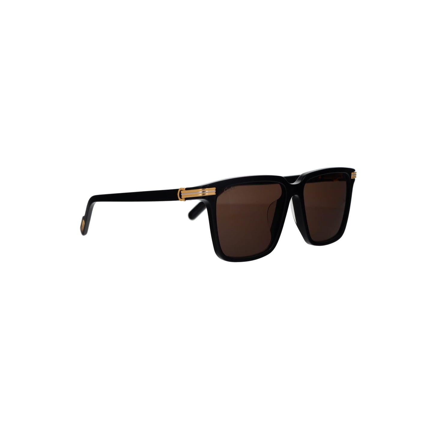 CT0220SA Contemporary Acetate Sunglasses