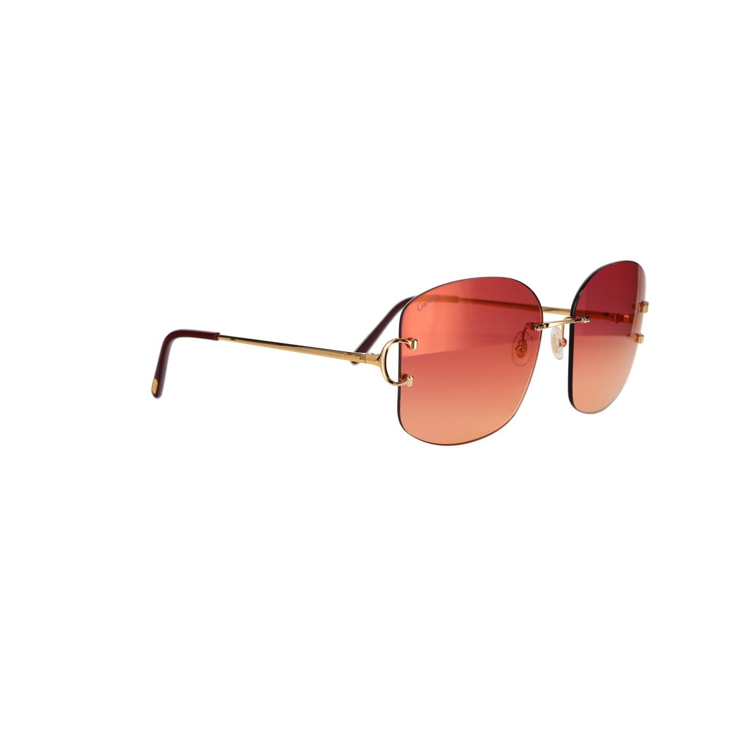 CT0037RS Signature C Sunglasses