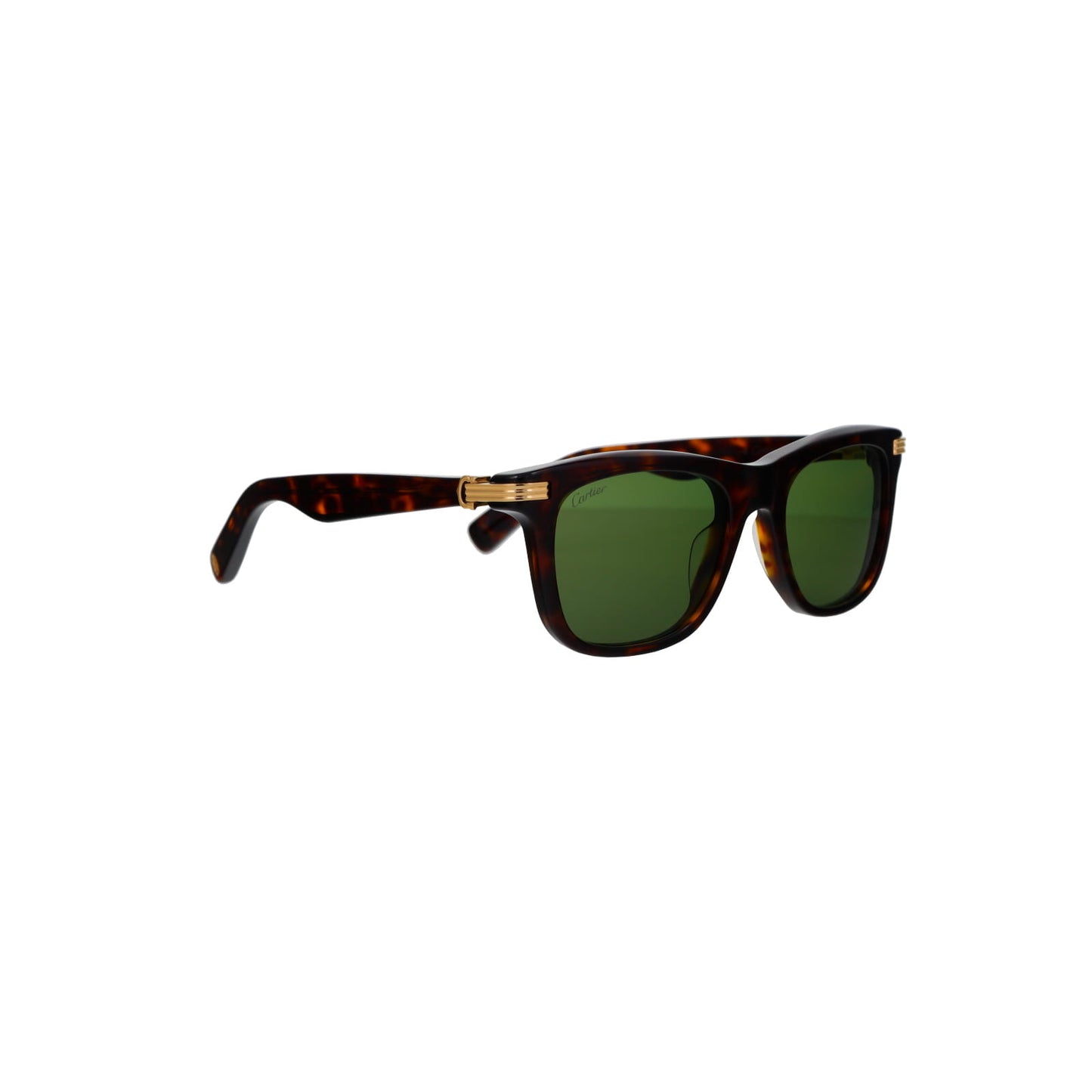 CT0396S Contemporary Acetate Sunglasses