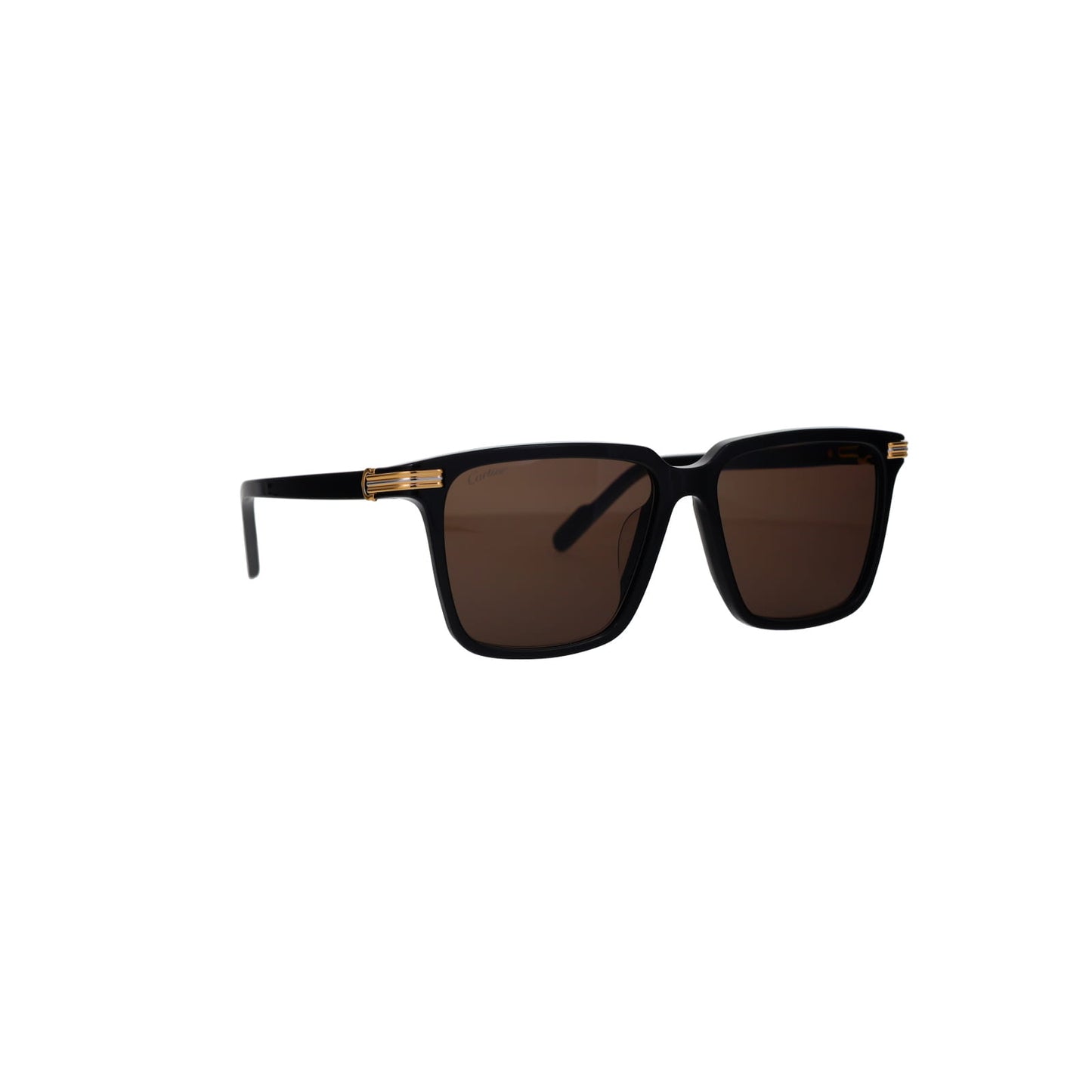 CT0220SA Contemporary Acetate Sunglasses