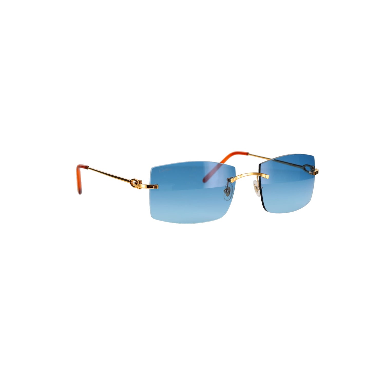 CT0005RS C Décor Sunglasses