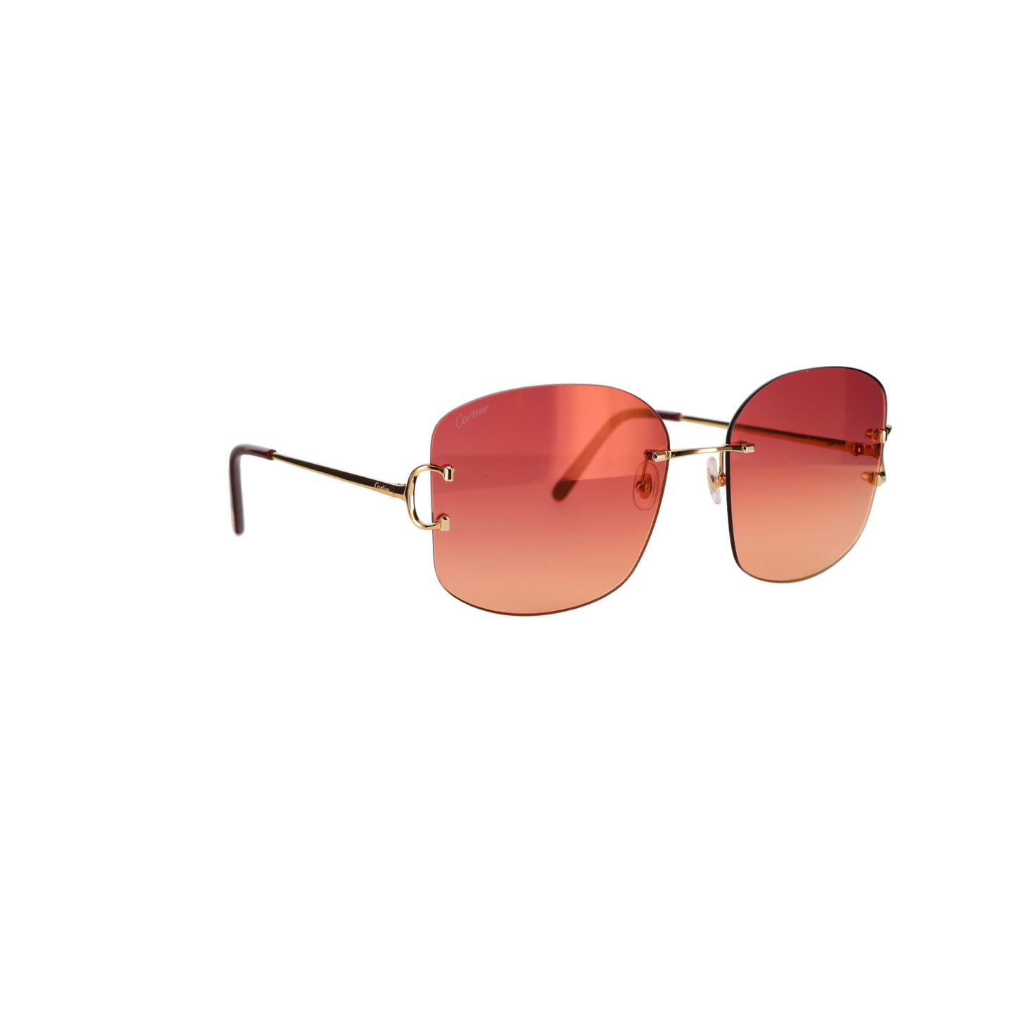CT0037RS Signature C Sunglasses