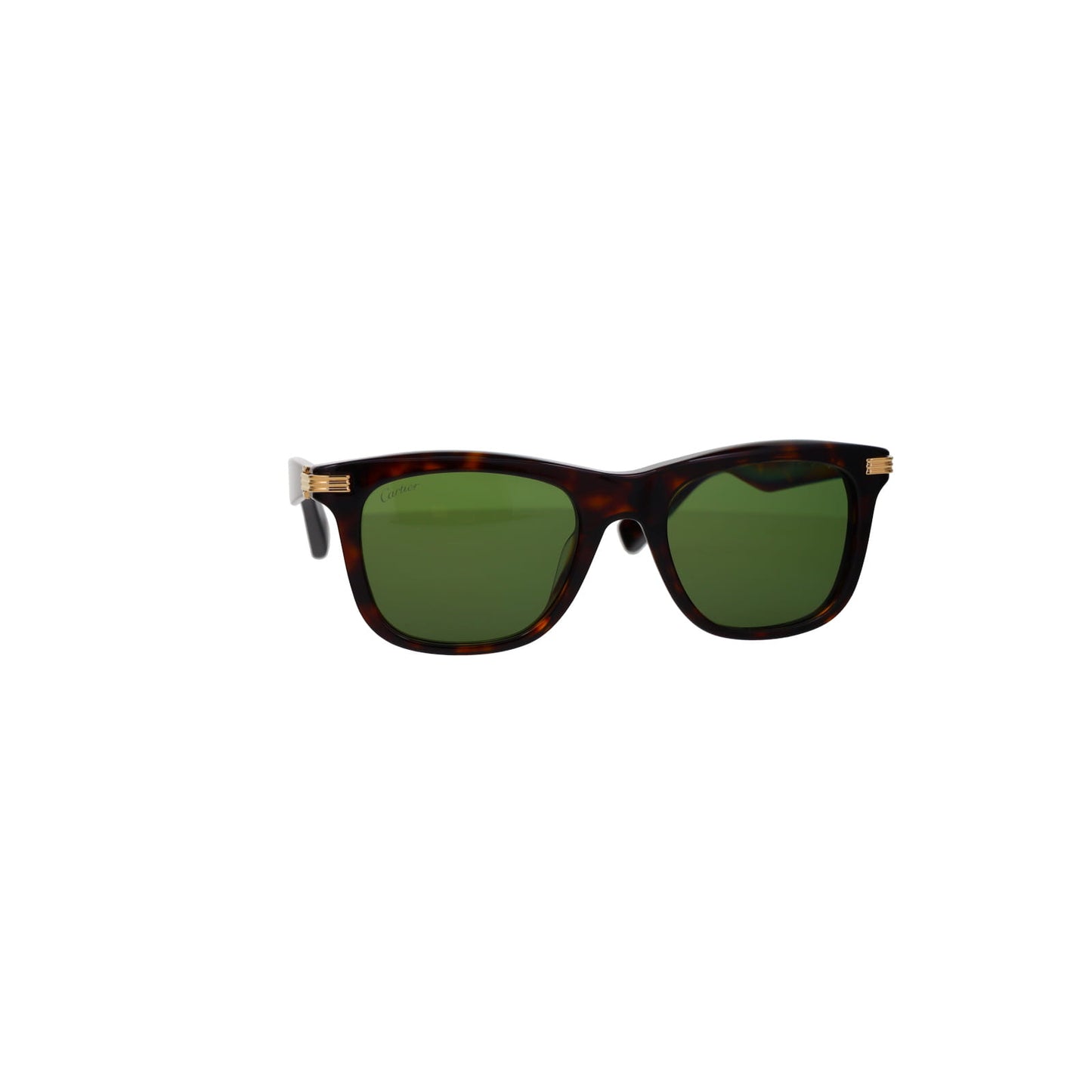 CT0396S Contemporary Acetate Sunglasses