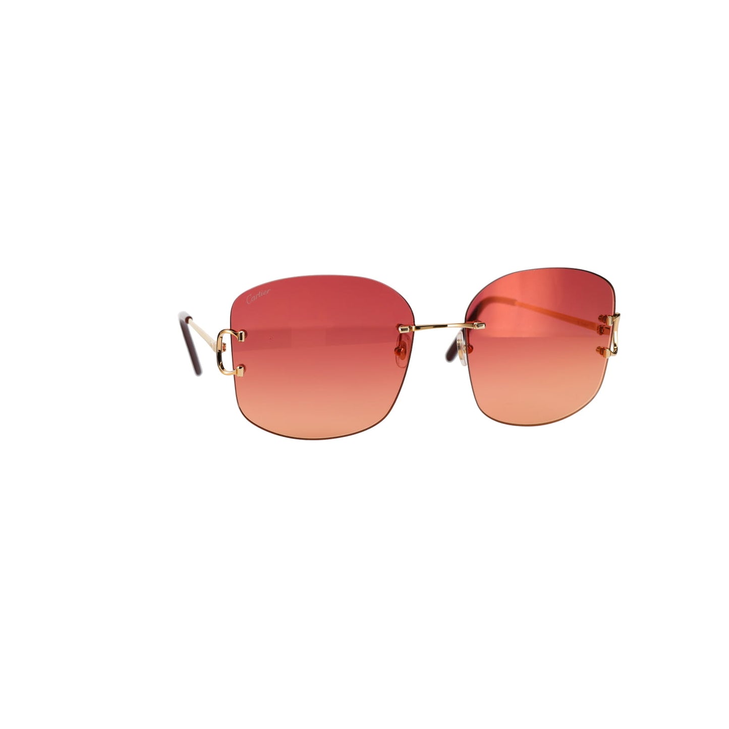 CT0037RS Signature C Sunglasses