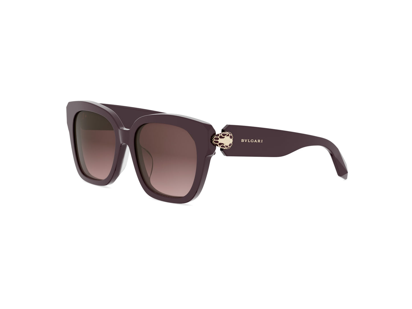 Square Acetate Sunglasses