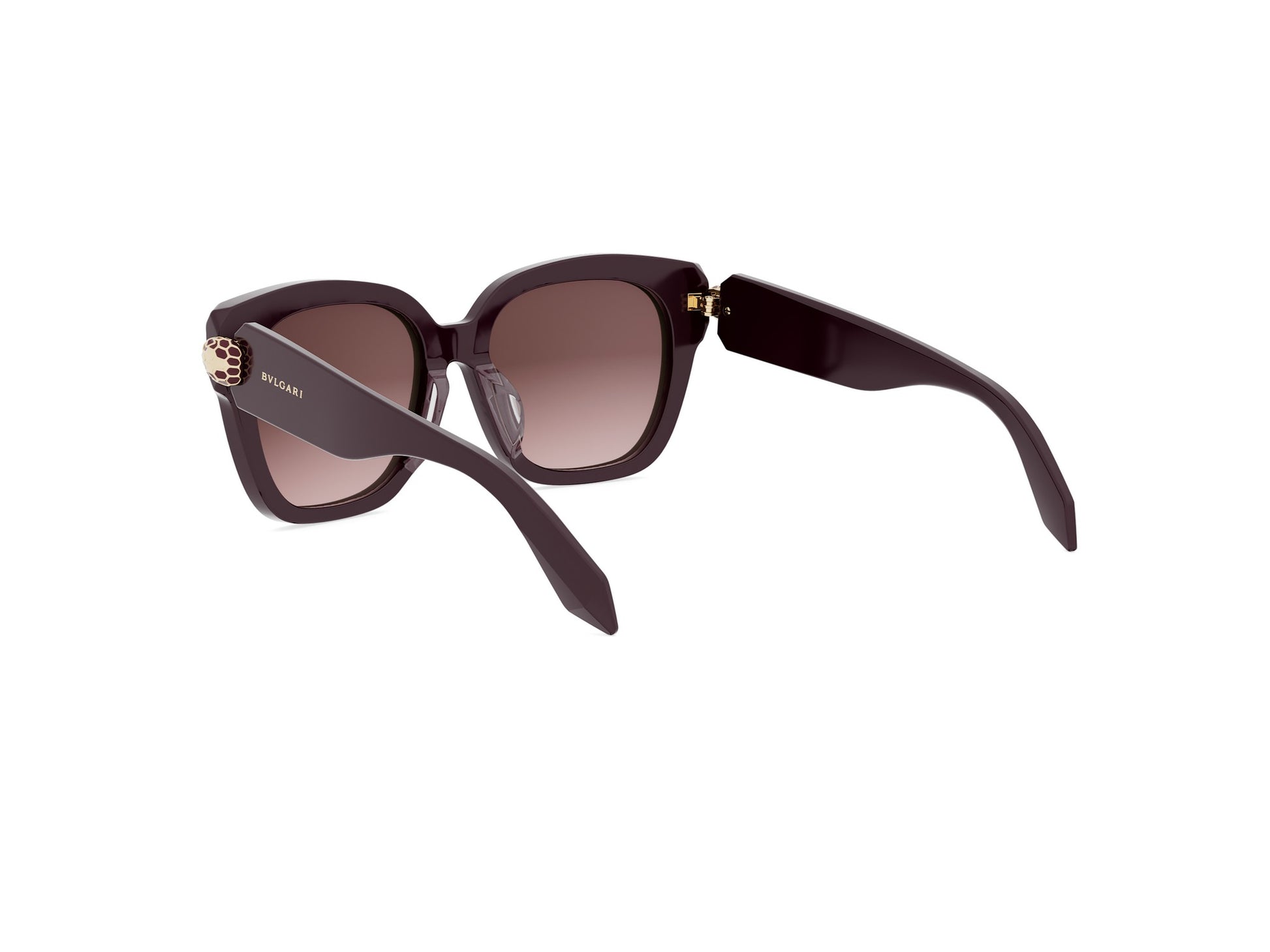 Square Acetate Sunglasses