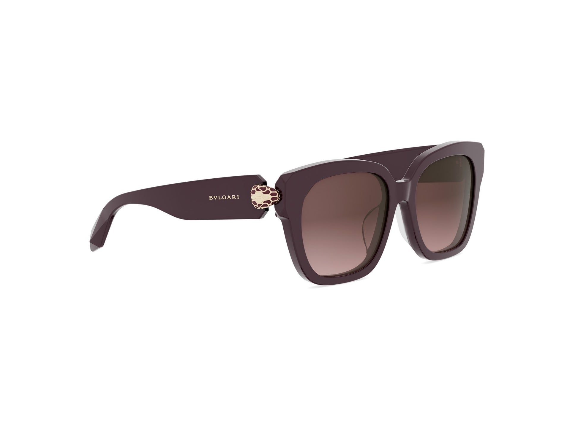 Square Acetate Sunglasses