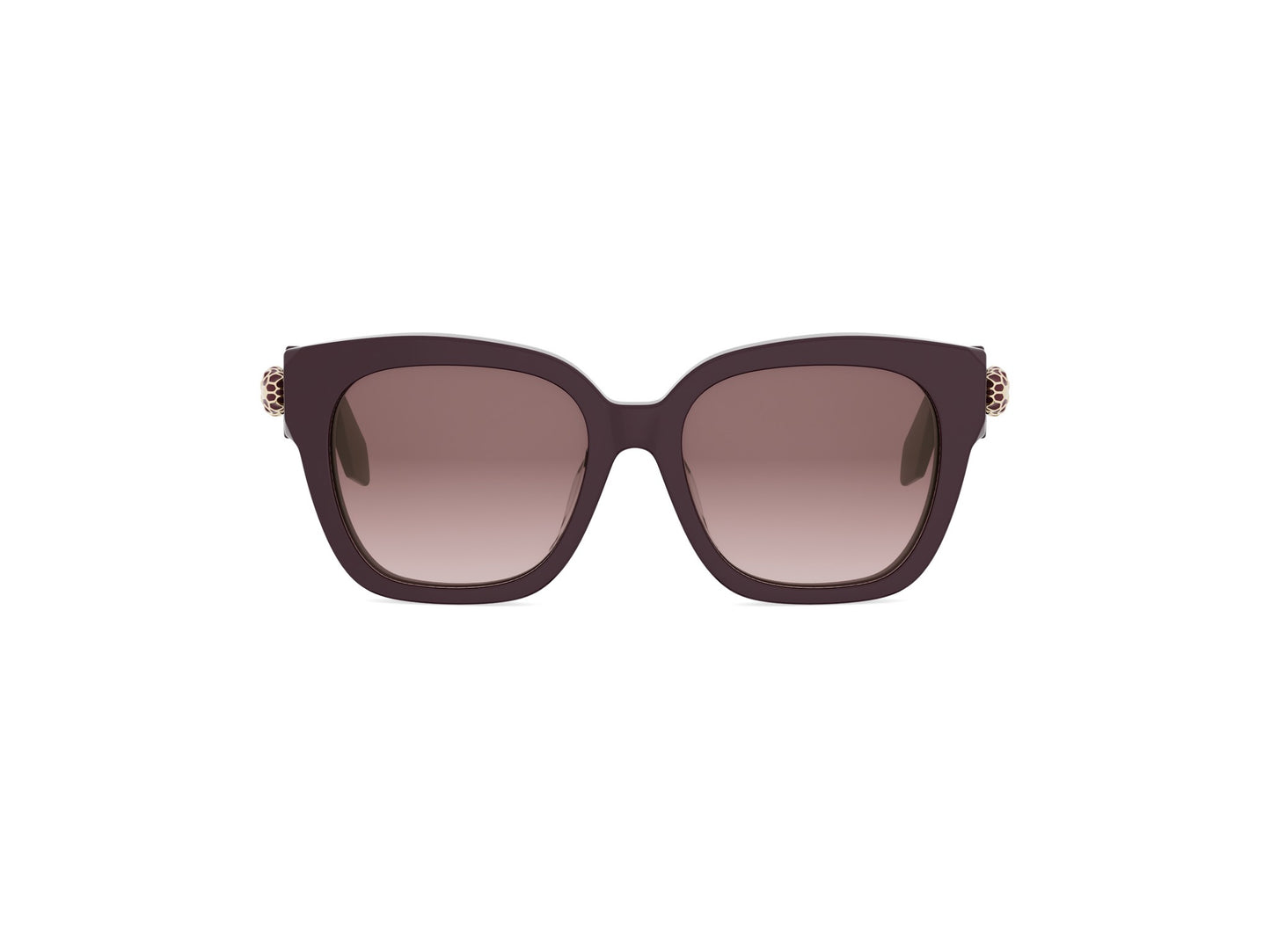 Square Acetate Sunglasses