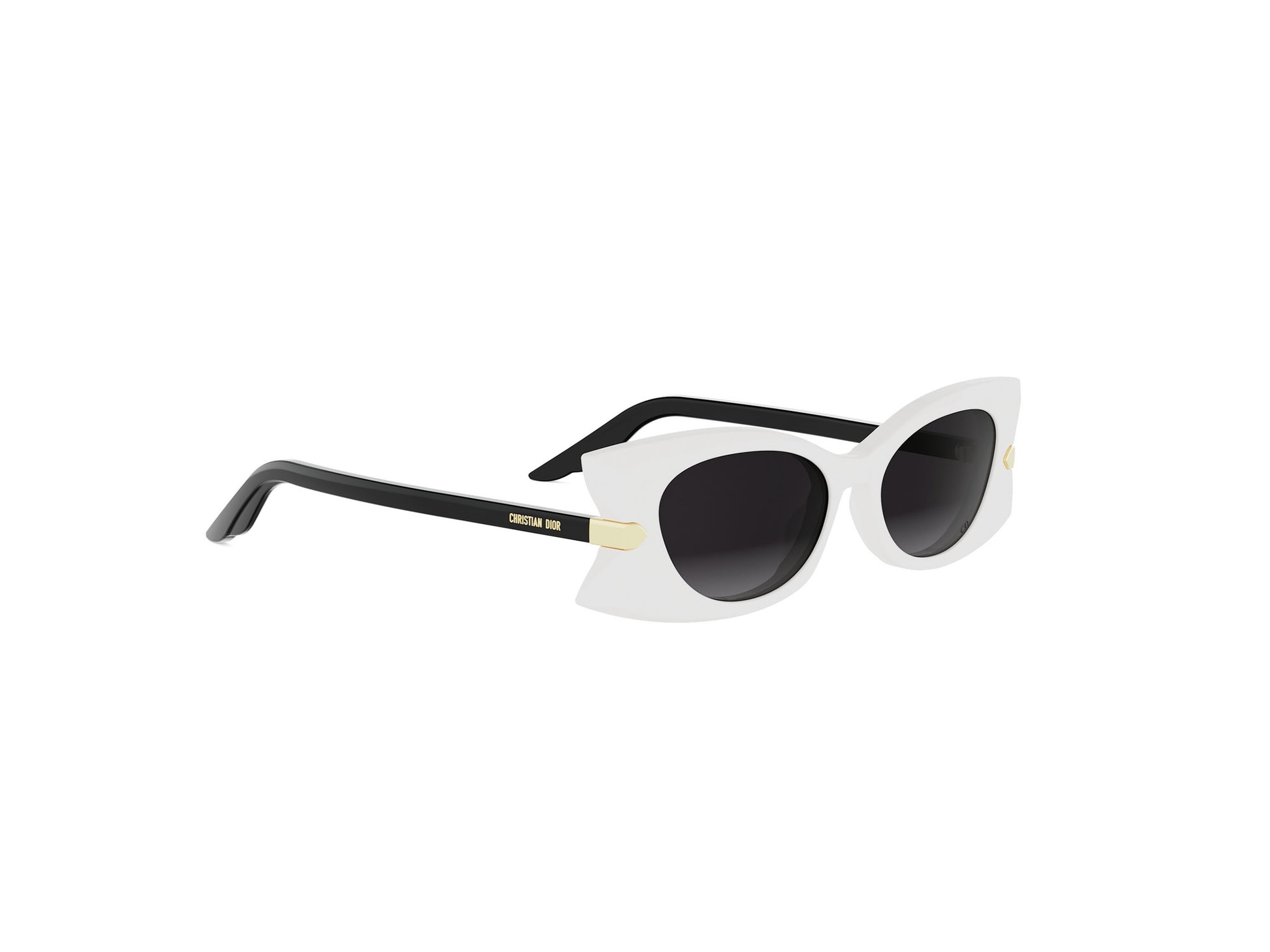 Butterfly Acetate Sunglasses