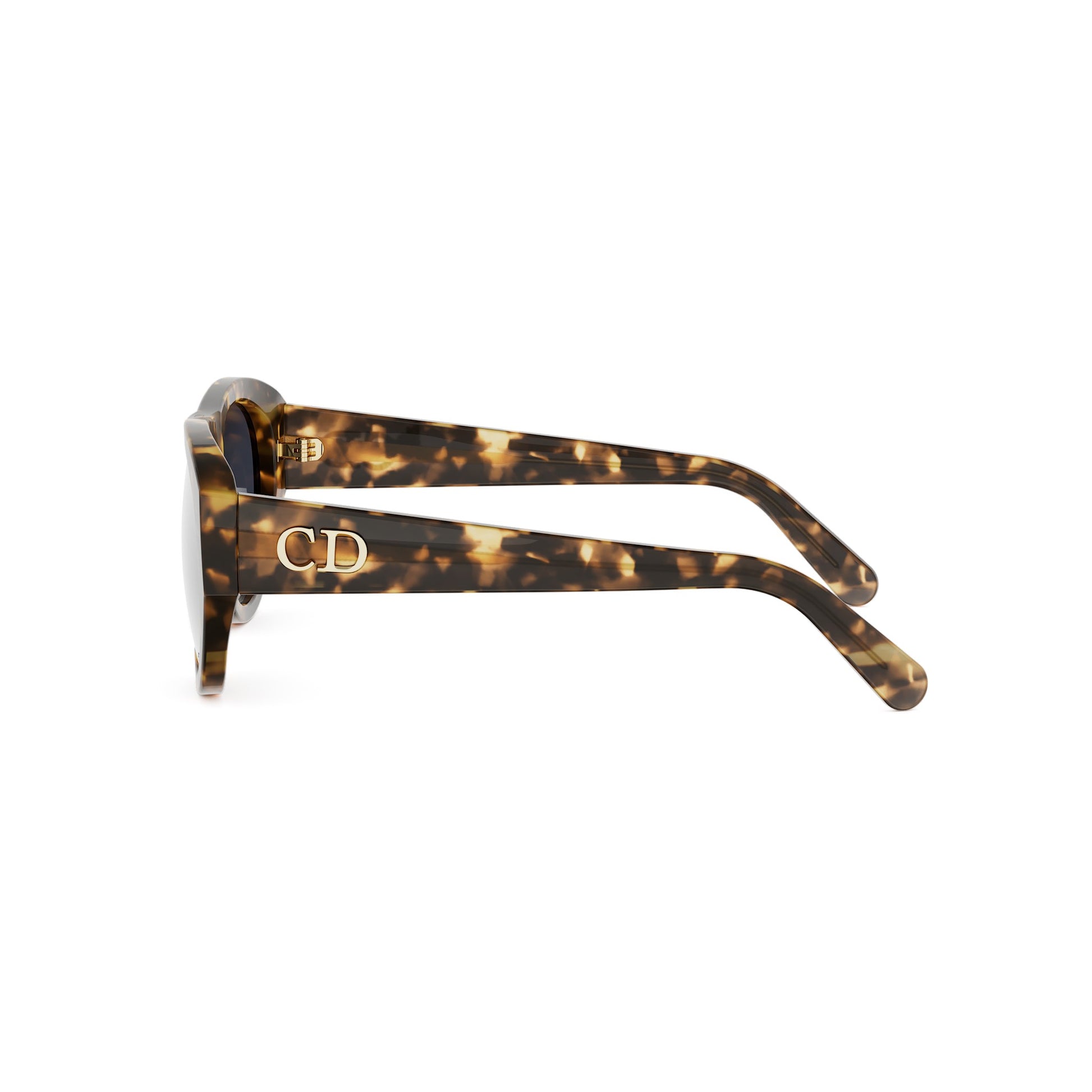 Shiny Pilot Acetate Sunglasses