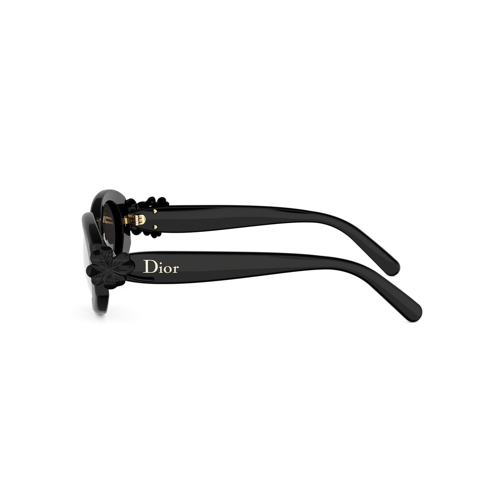 Shiny Oval Acetate Sunglasses