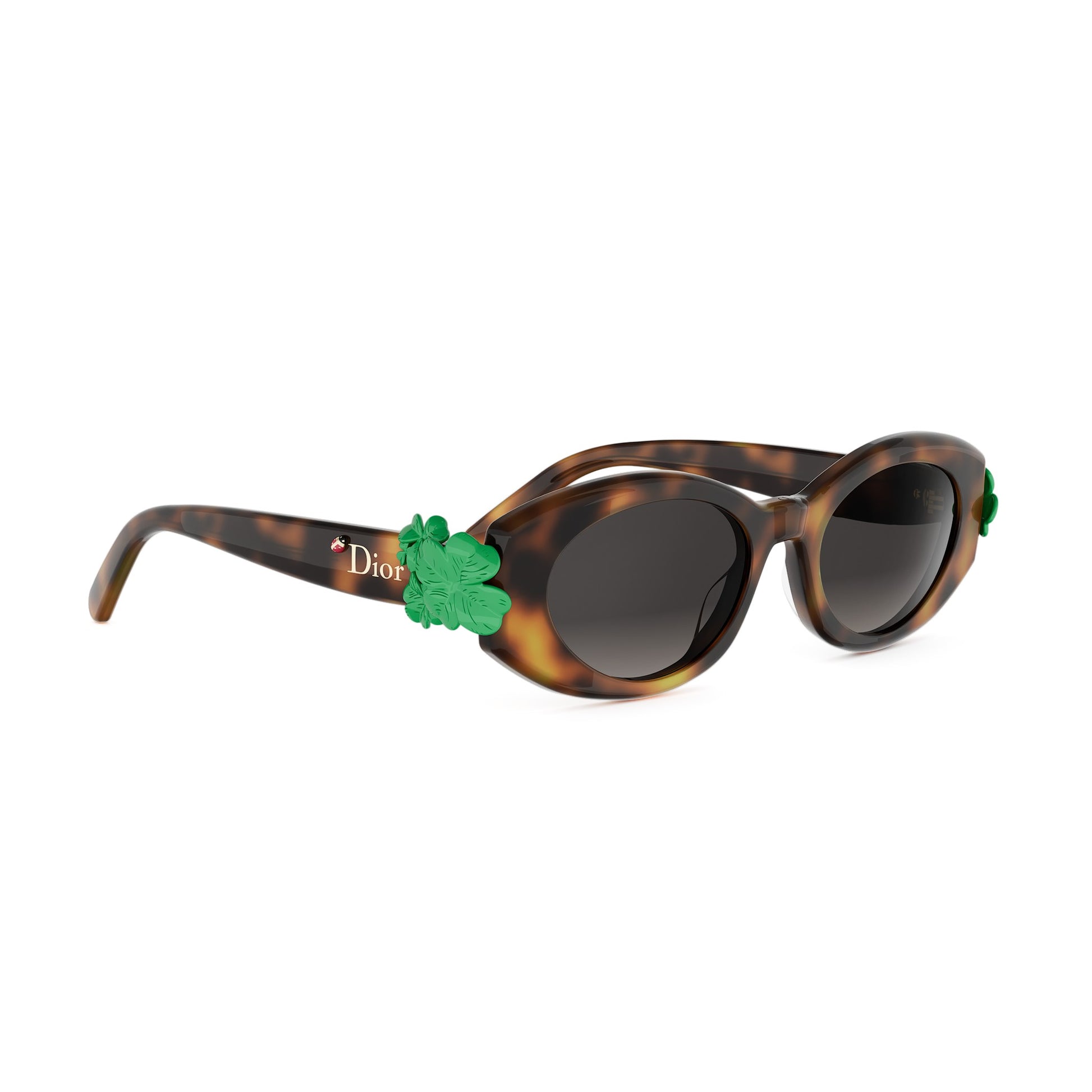 Shiny Oval Acetate Sunglasses