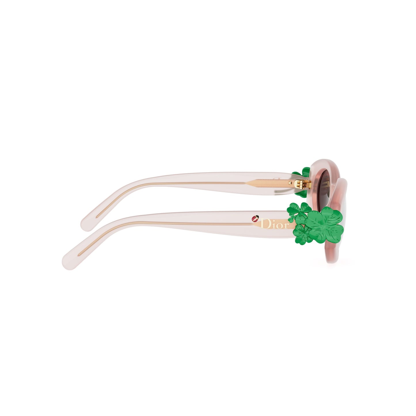 Shiny Oval Acetate Sunglasses