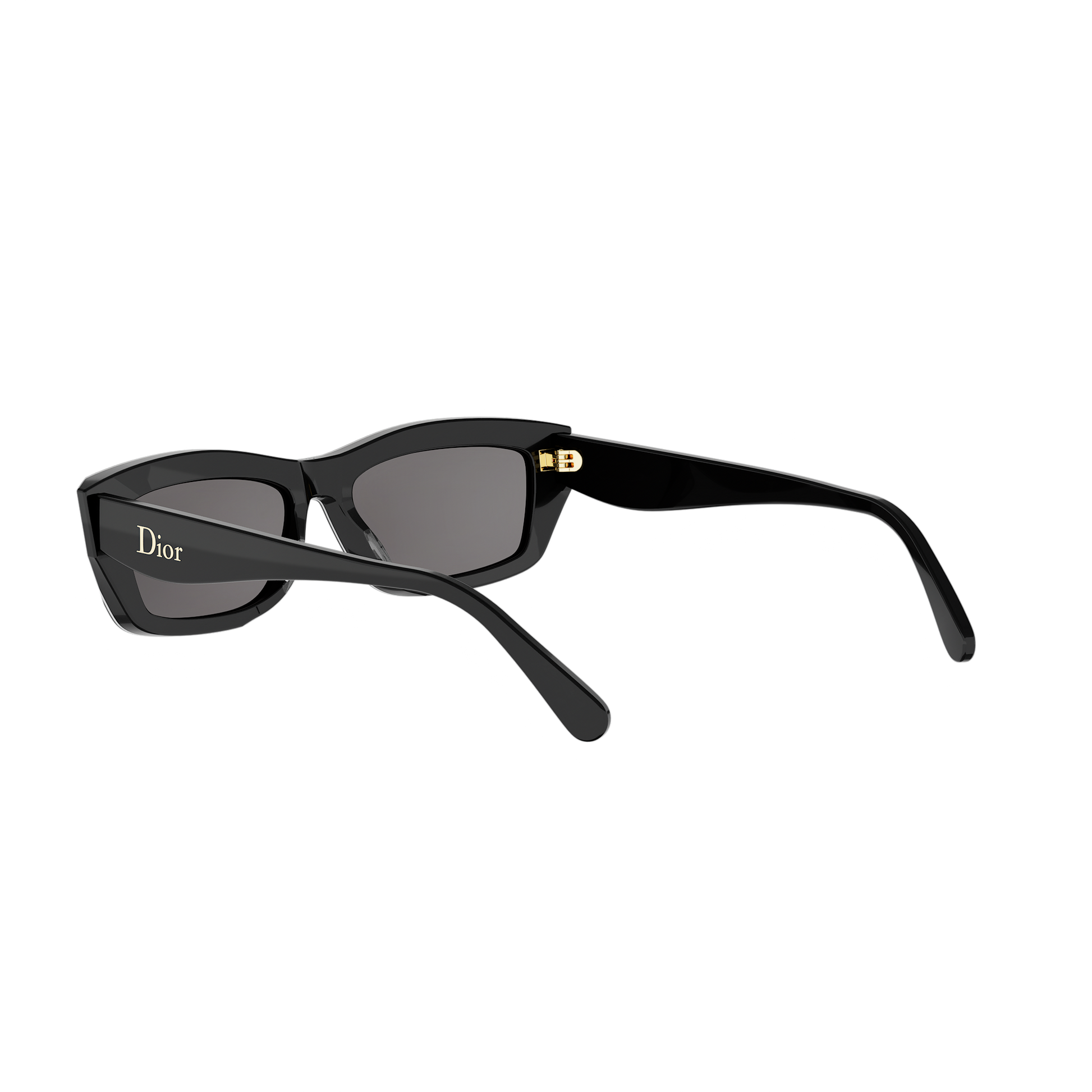 Rectangular Cat-eye Acetate Sunglasses