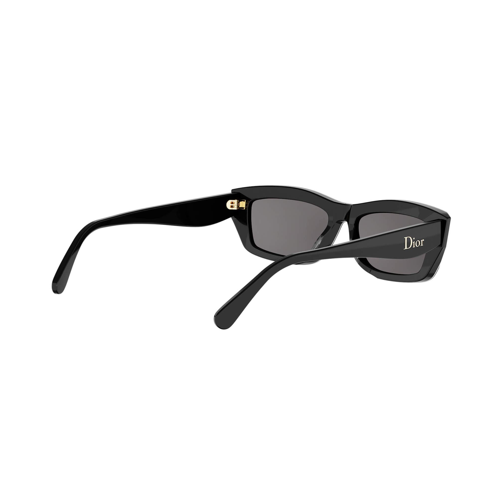 Rectangular Cat-eye Acetate Sunglasses