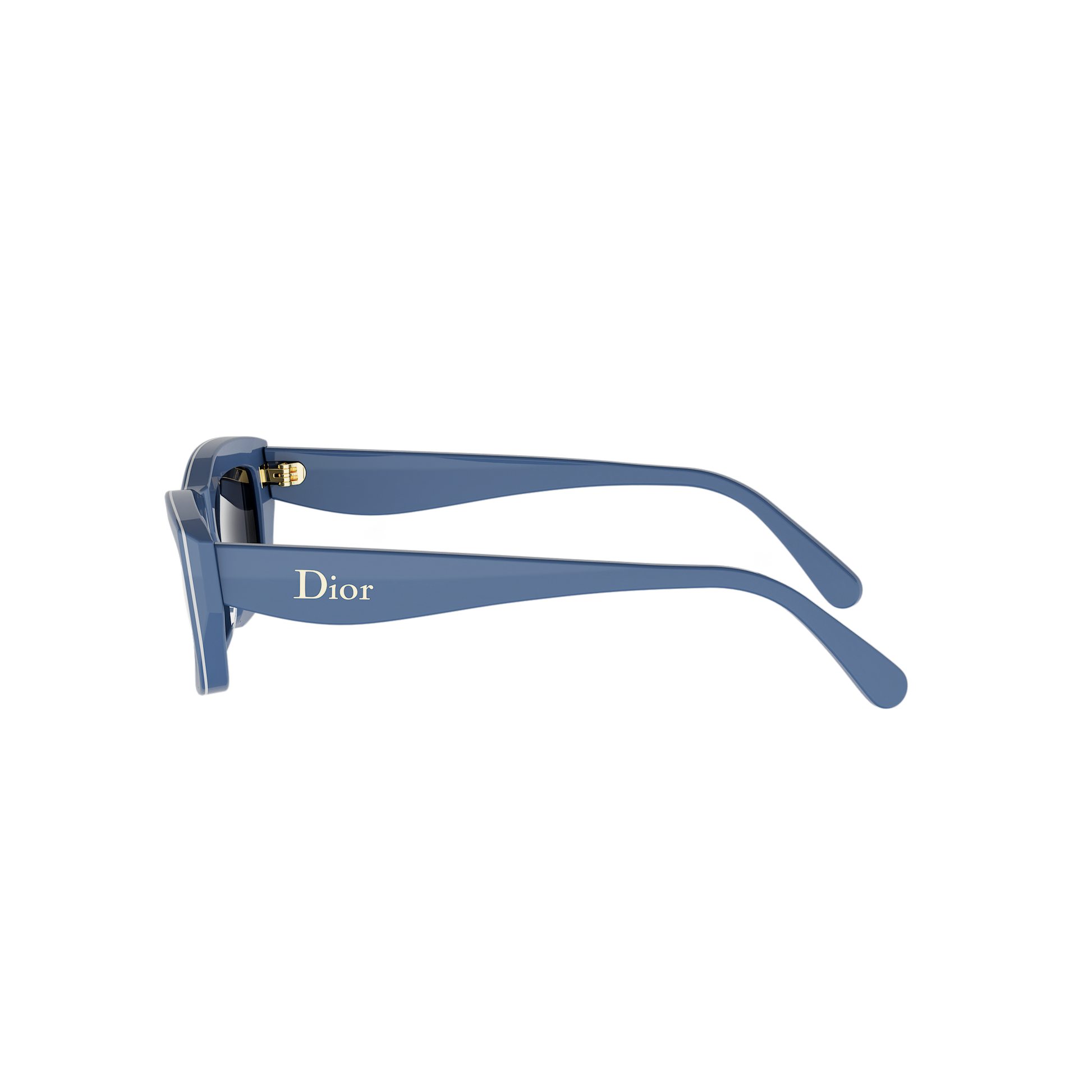 Rectangular Cat-eye Acetate Sunglasses