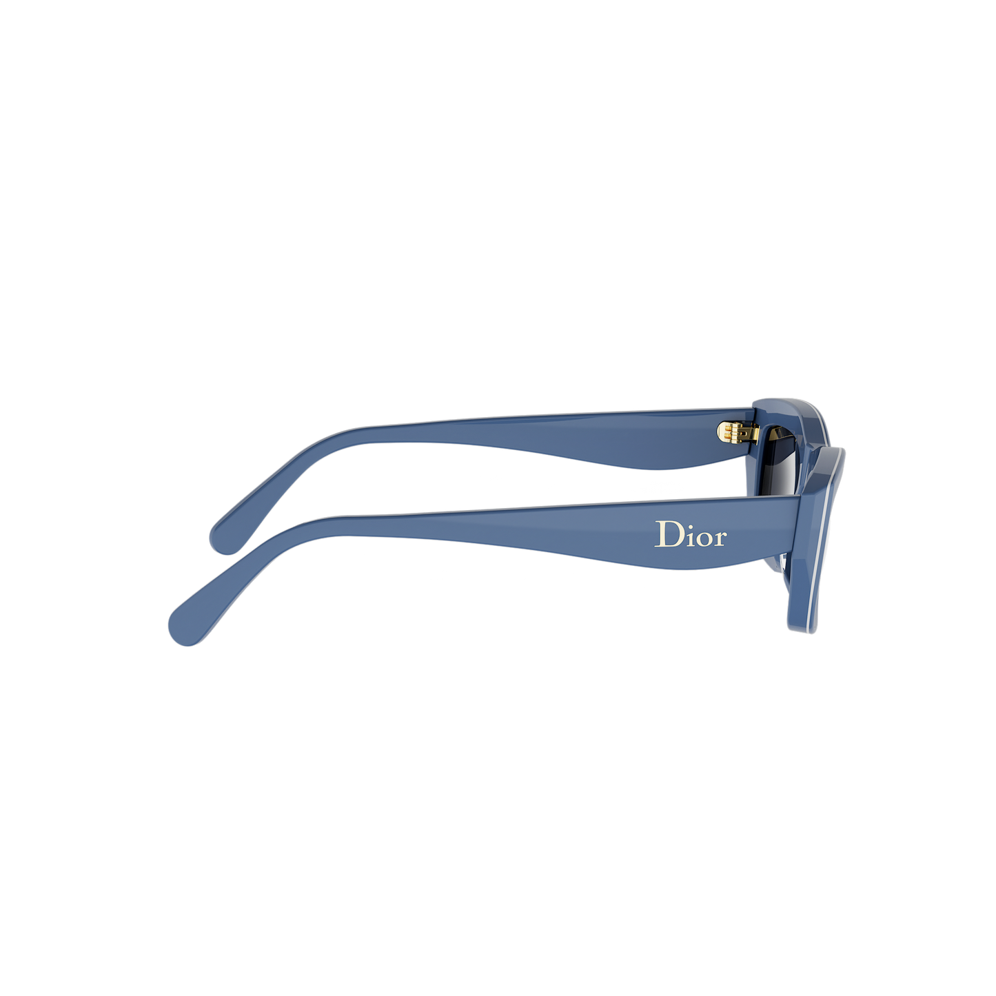 Rectangular Cat-eye Acetate Sunglasses