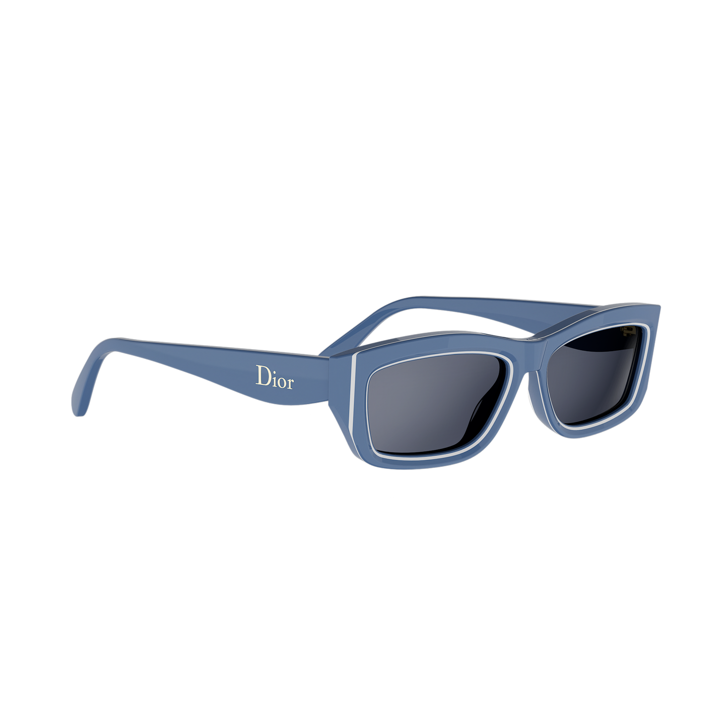 Rectangular Cat-eye Acetate Sunglasses