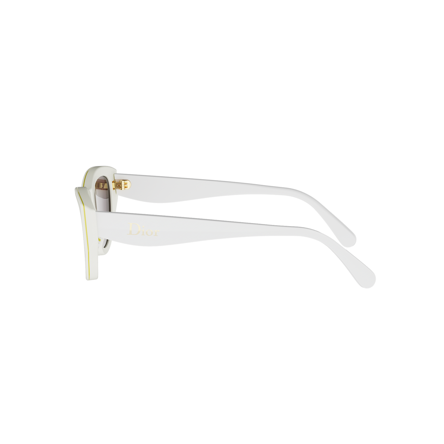 Cat-eye Acetate Sunglasses