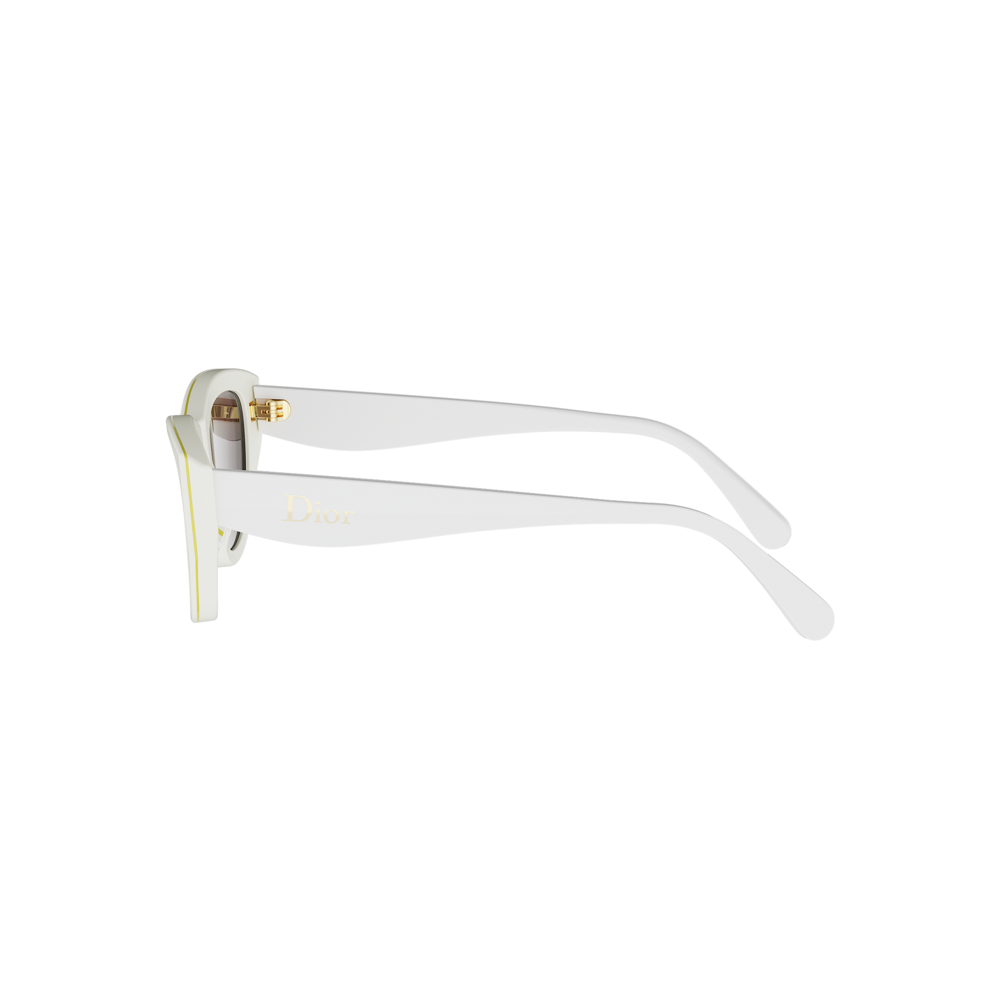 Cat-eye Acetate Sunglasses