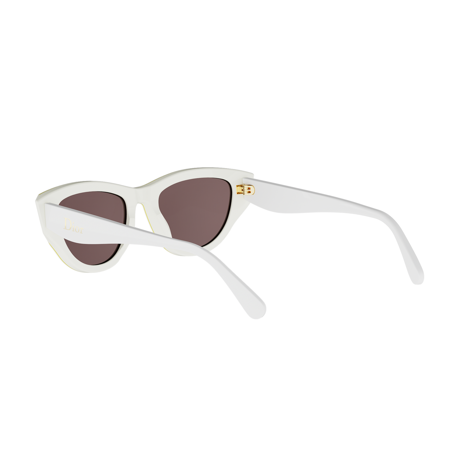 Cat-eye Acetate Sunglasses