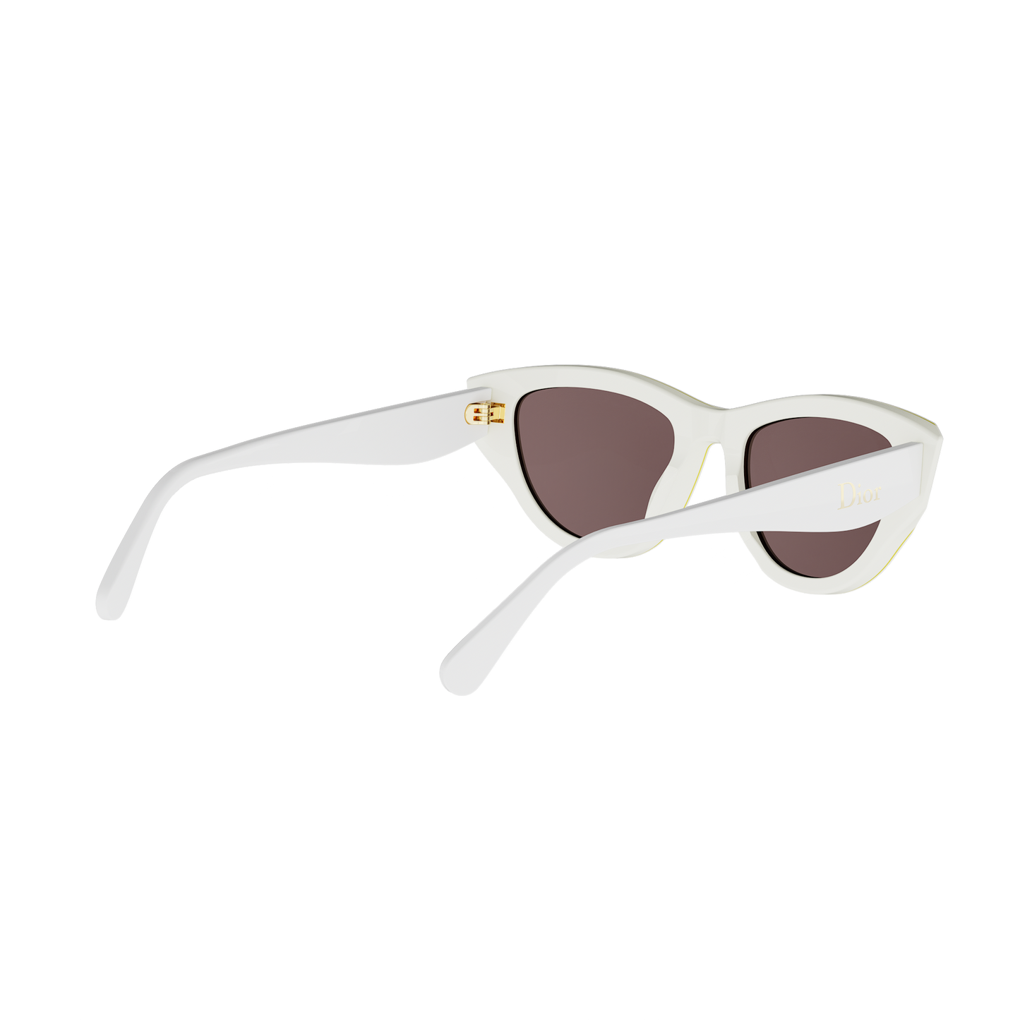 Cat-eye Acetate Sunglasses