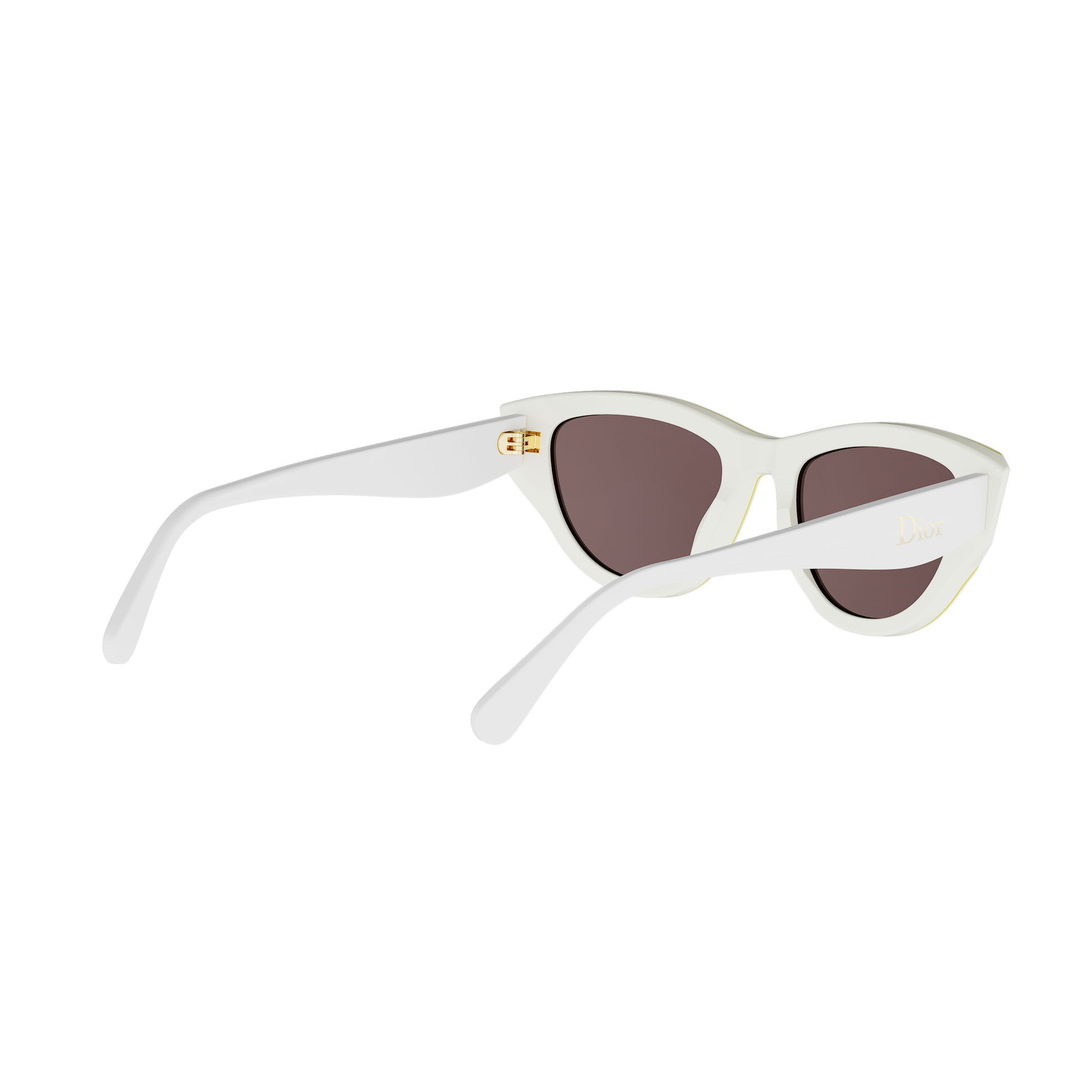 Cat-eye Acetate Sunglasses