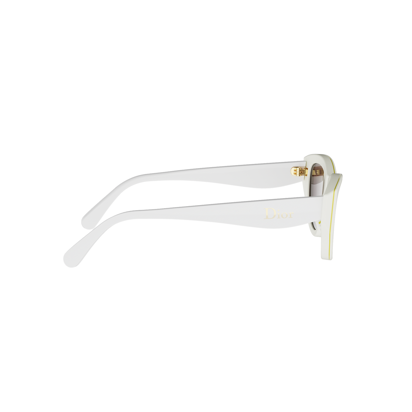 Cat-eye Acetate Sunglasses