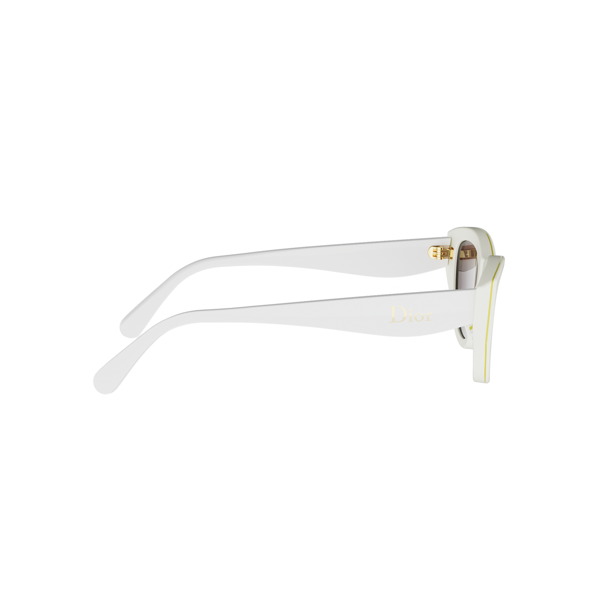 Cat-eye Acetate Sunglasses