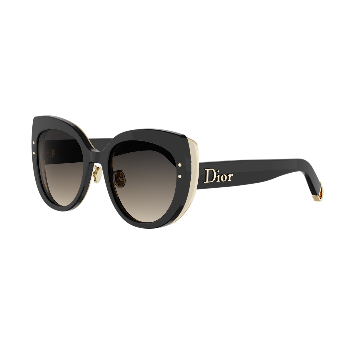 Butterfly Acetate Sunglasses