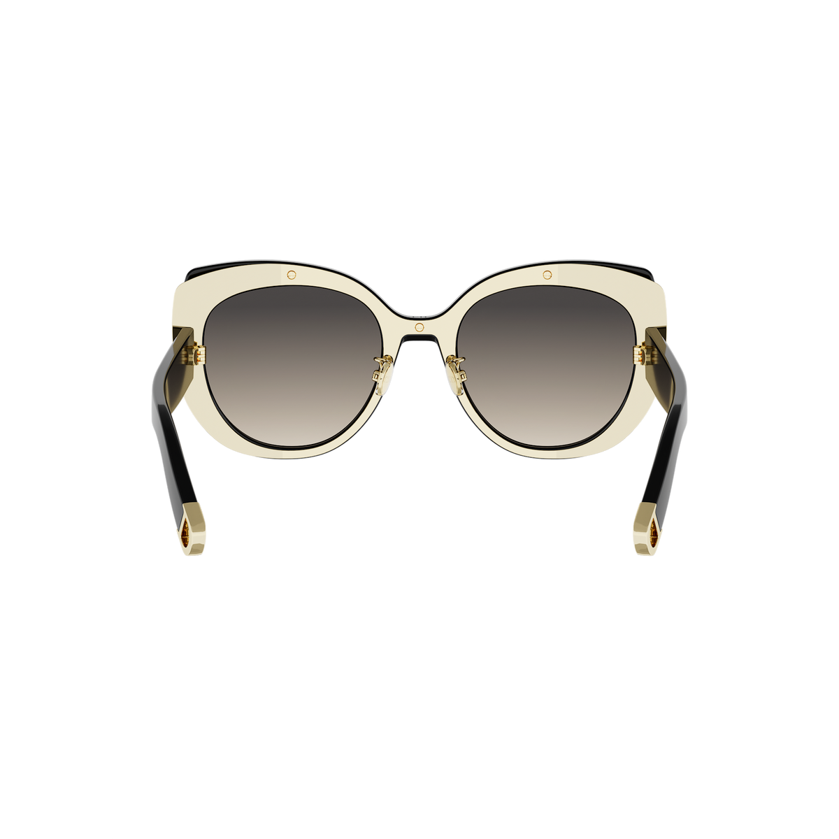 Butterfly Acetate Sunglasses
