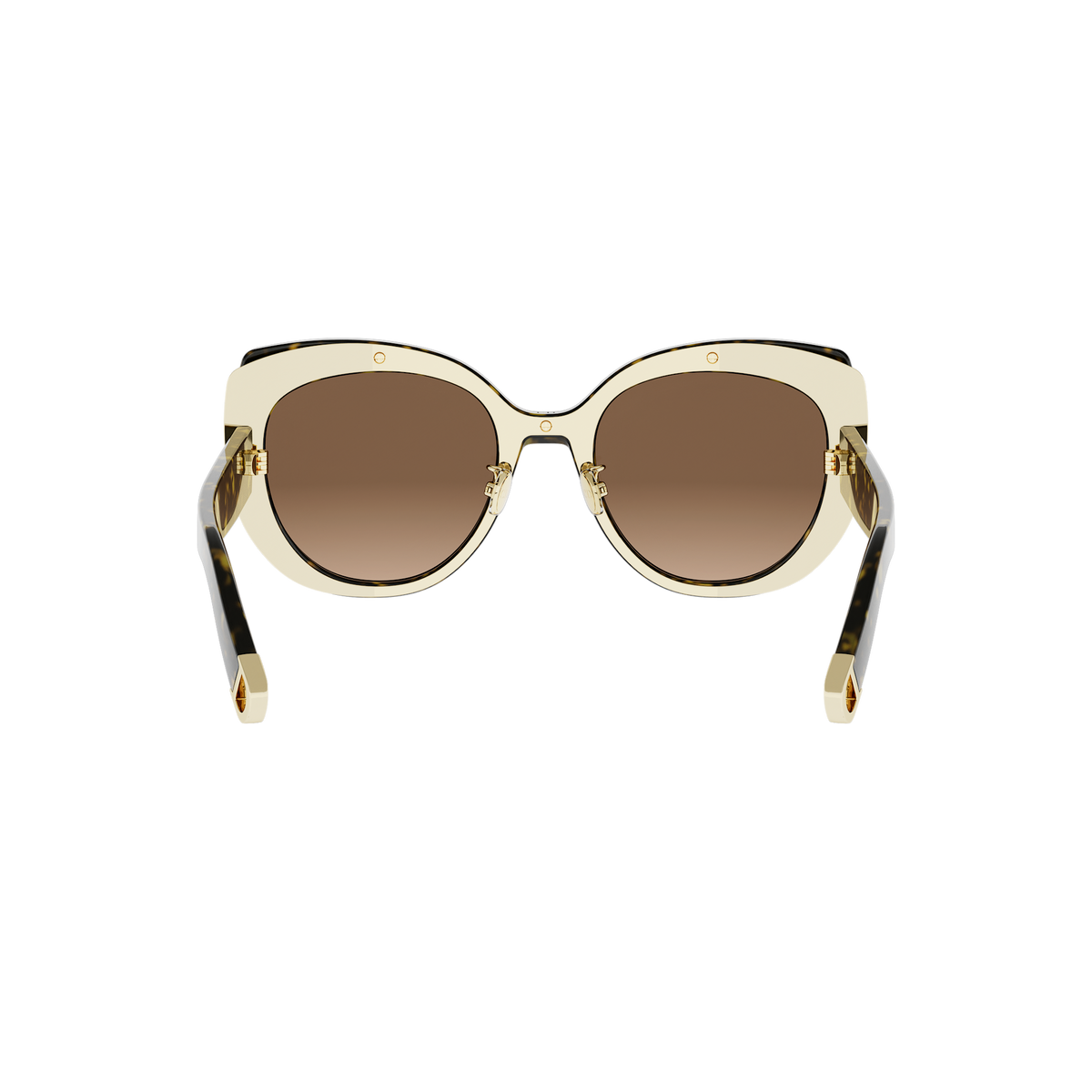 Butterfly Acetate Sunglasses