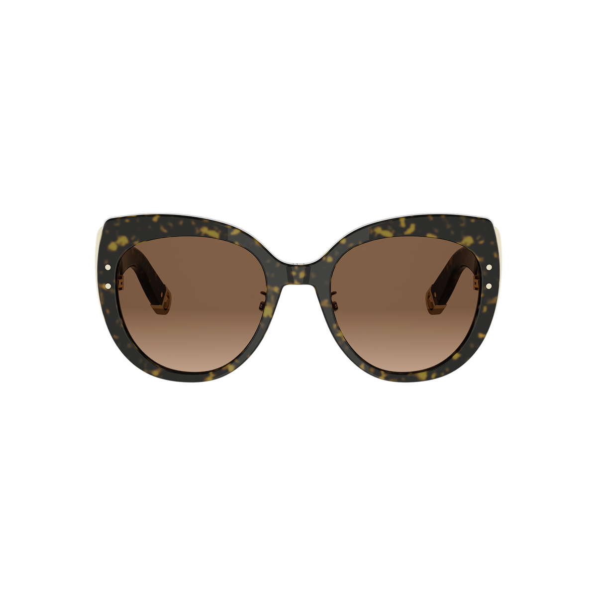 Butterfly Acetate Sunglasses