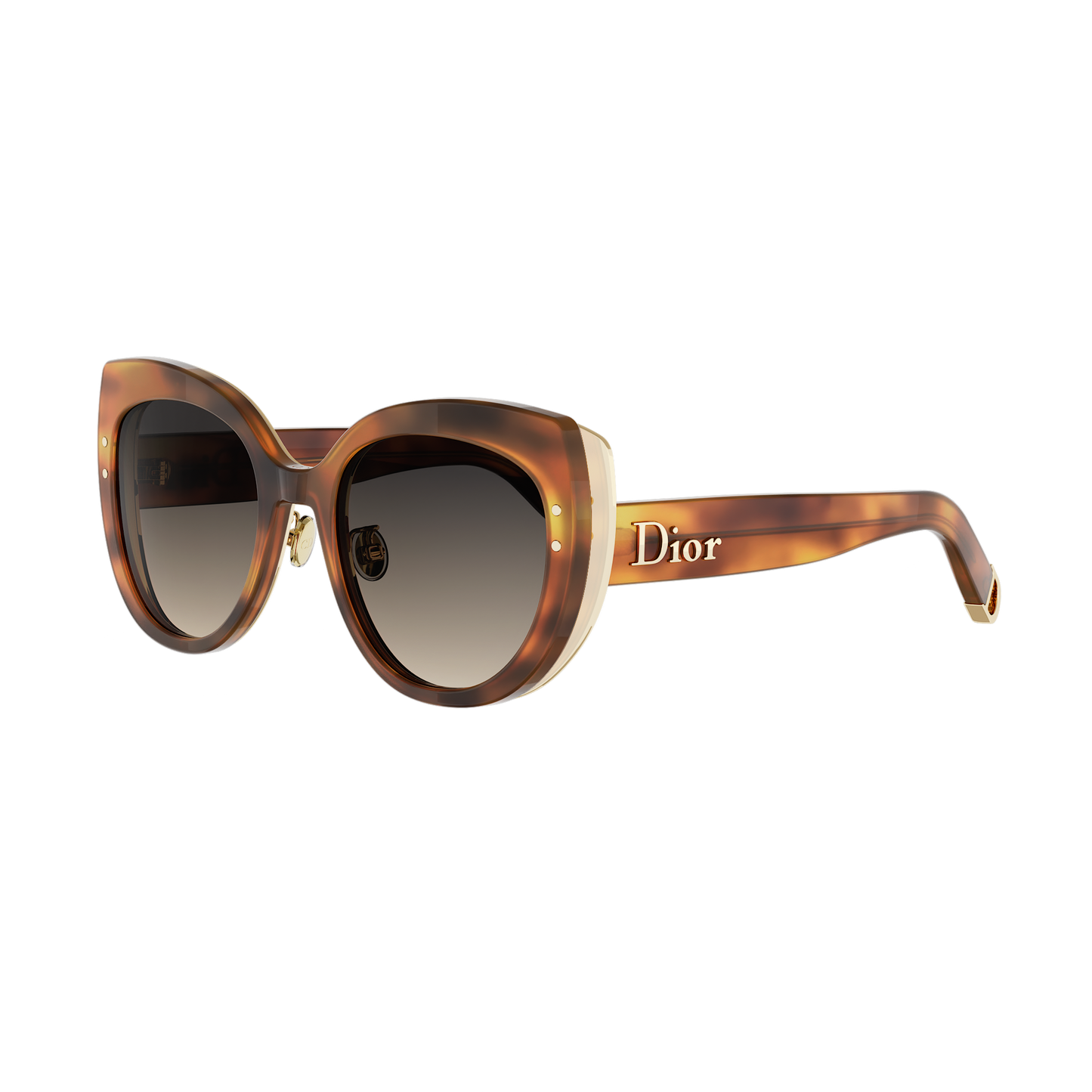 Butterfly Acetate Sunglasses