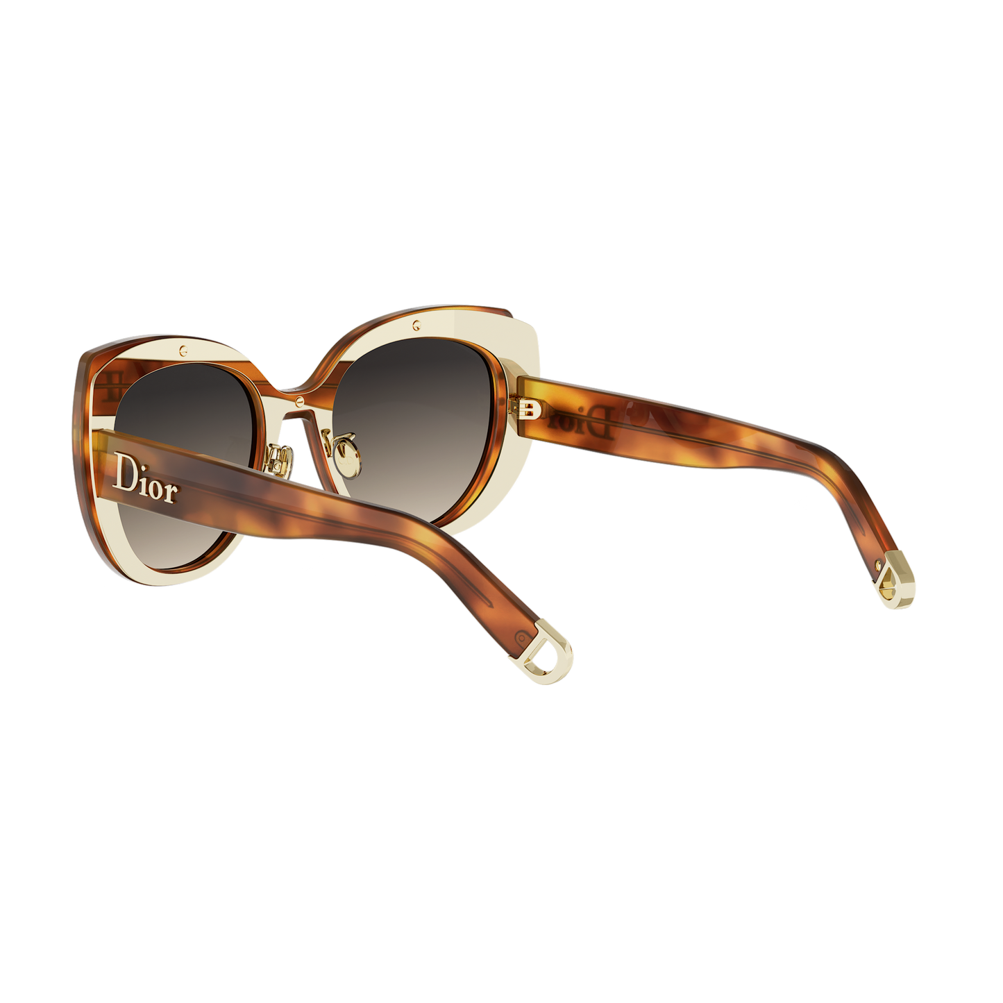 Butterfly Acetate Sunglasses